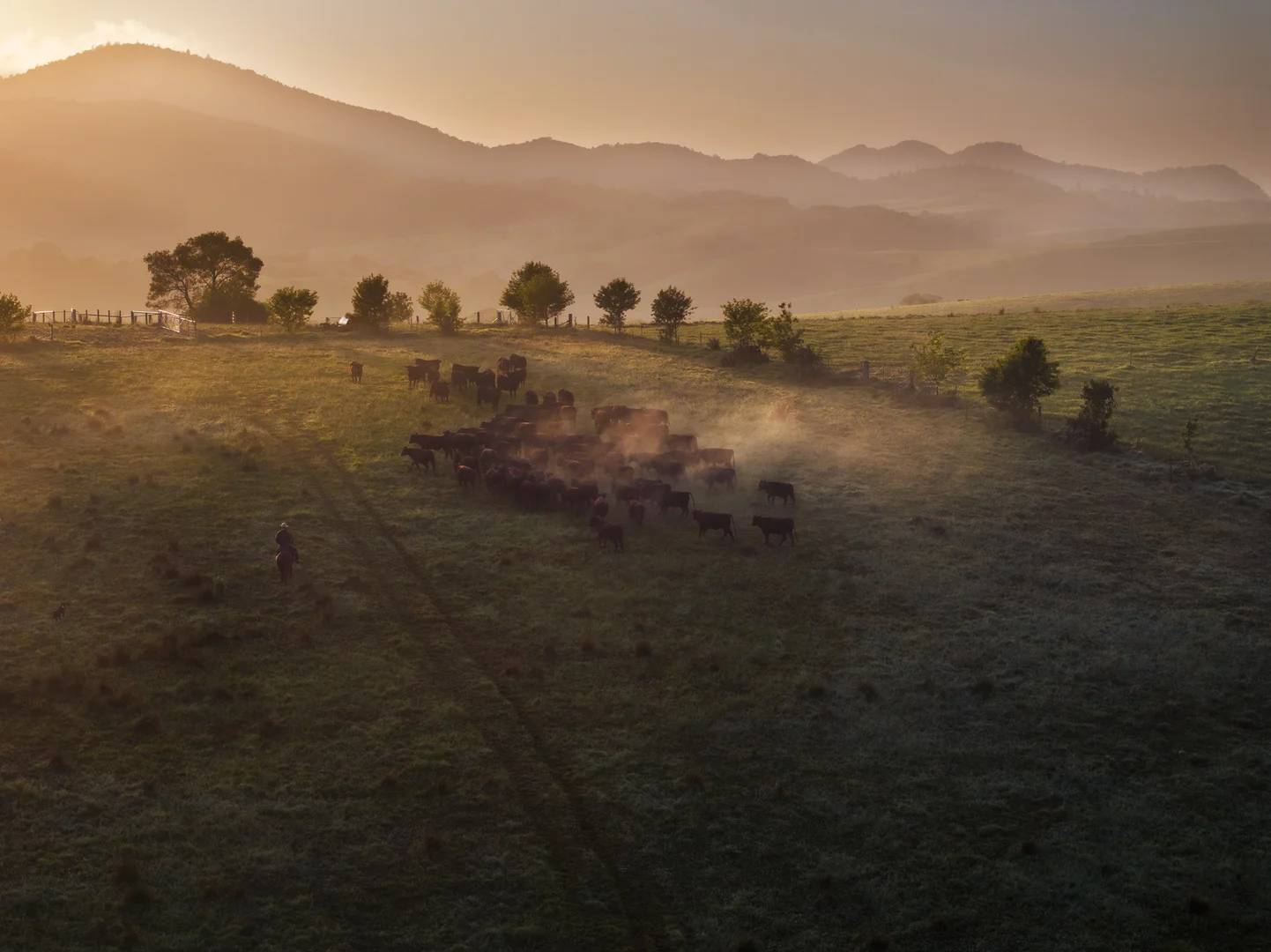 Additional image 30 of 294 Coramba Road, Dorrigo NSW 2453