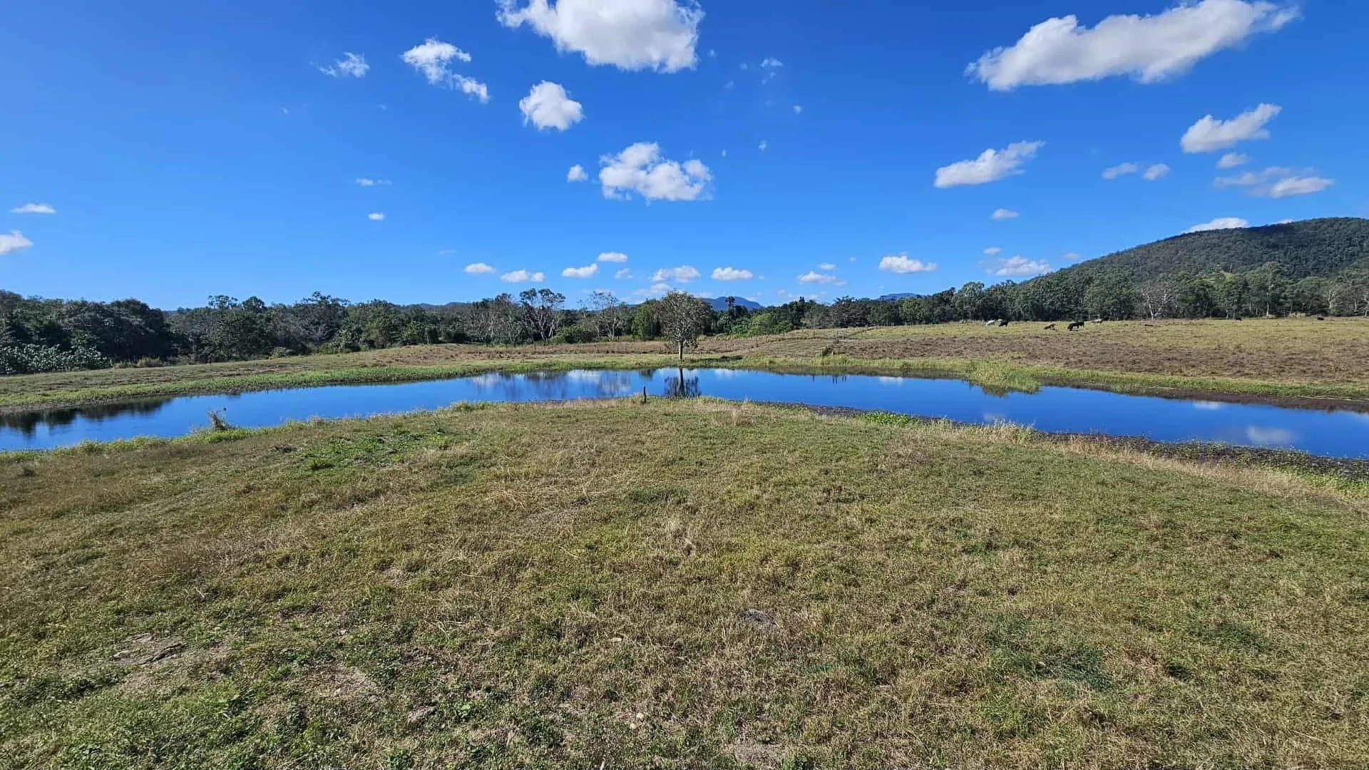 Additional image 7 of 104 Mount Ossa Seaforth Road, Mount Ossa QLD 4741