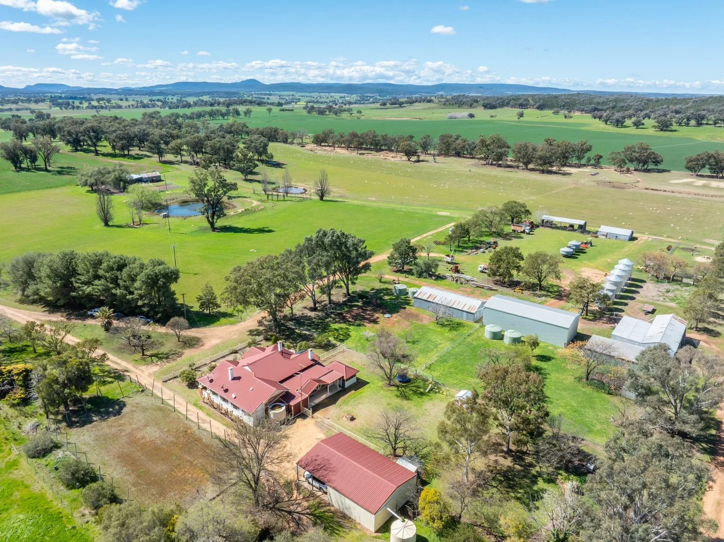 100 Grahams Lane, Grenfell NSW 2810