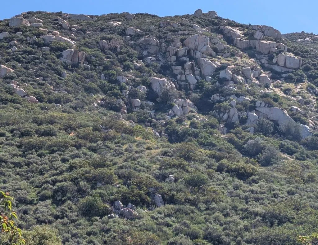 Additional image 52 of 3333 Suncrest Boulevard, El Cajon, CA 92021