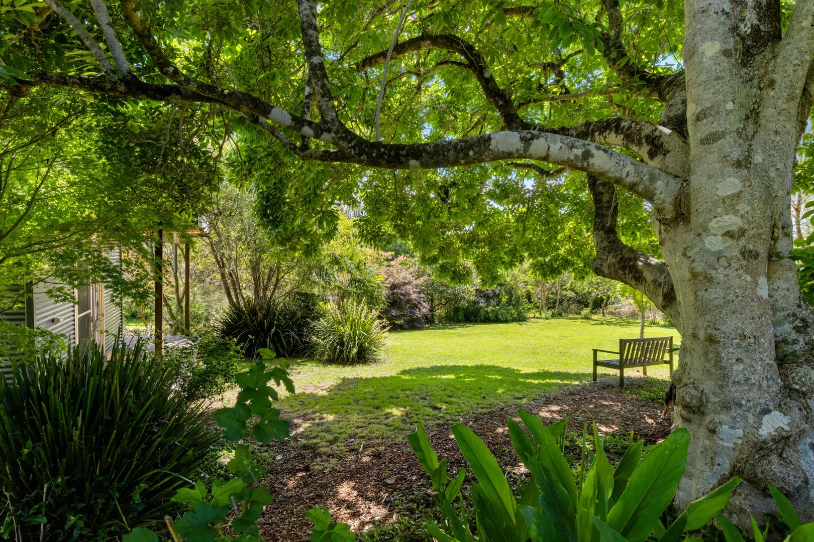 Additional image 15 of 10 Oak St, Dorrigo NSW 2453