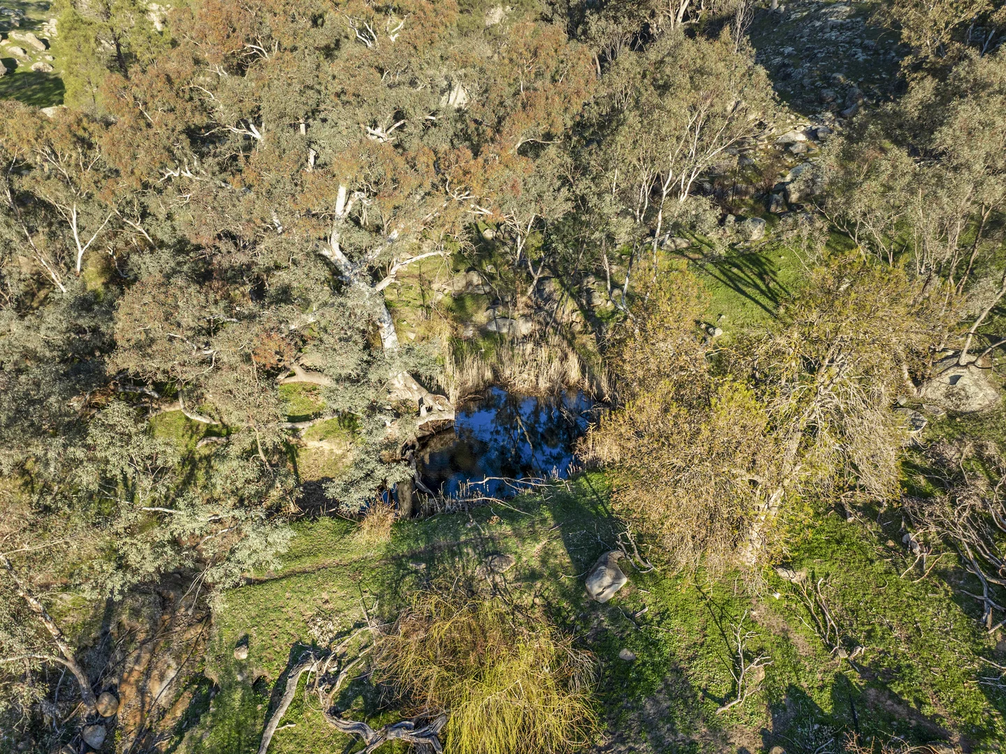 Additional image 45 of 304 Sheans Creek Road, Sheans Creek VIC 3666