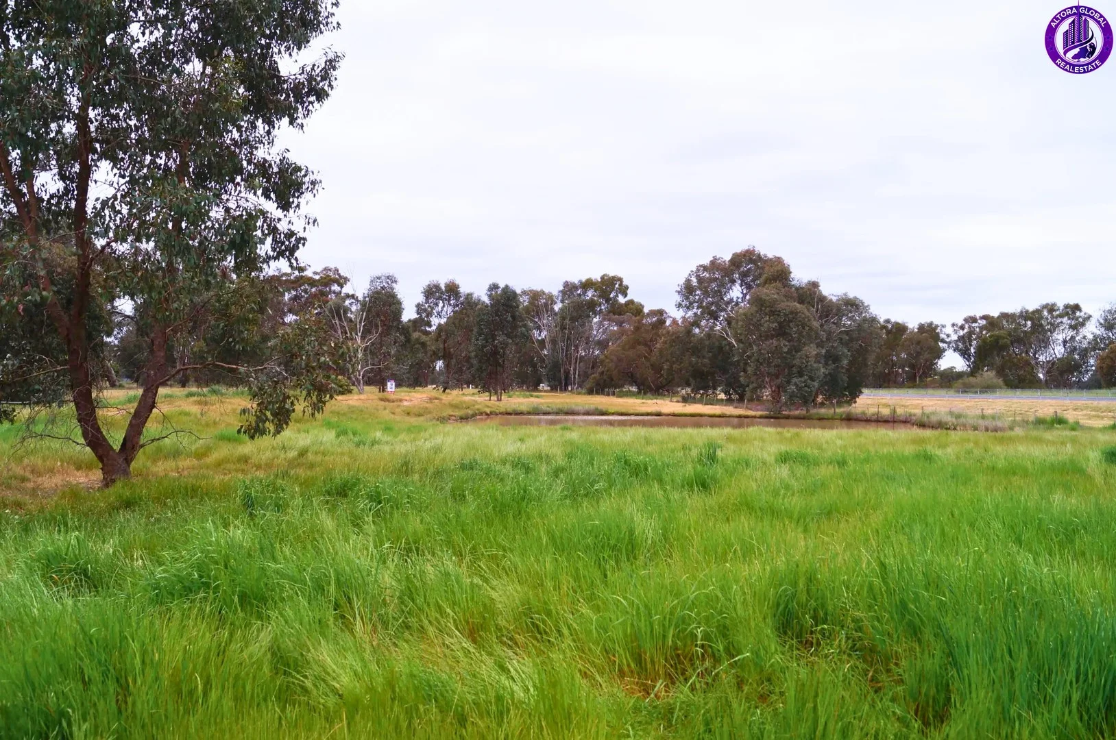 Additional image 3 of 49 HIGH STREET, Violet Town VIC 3669