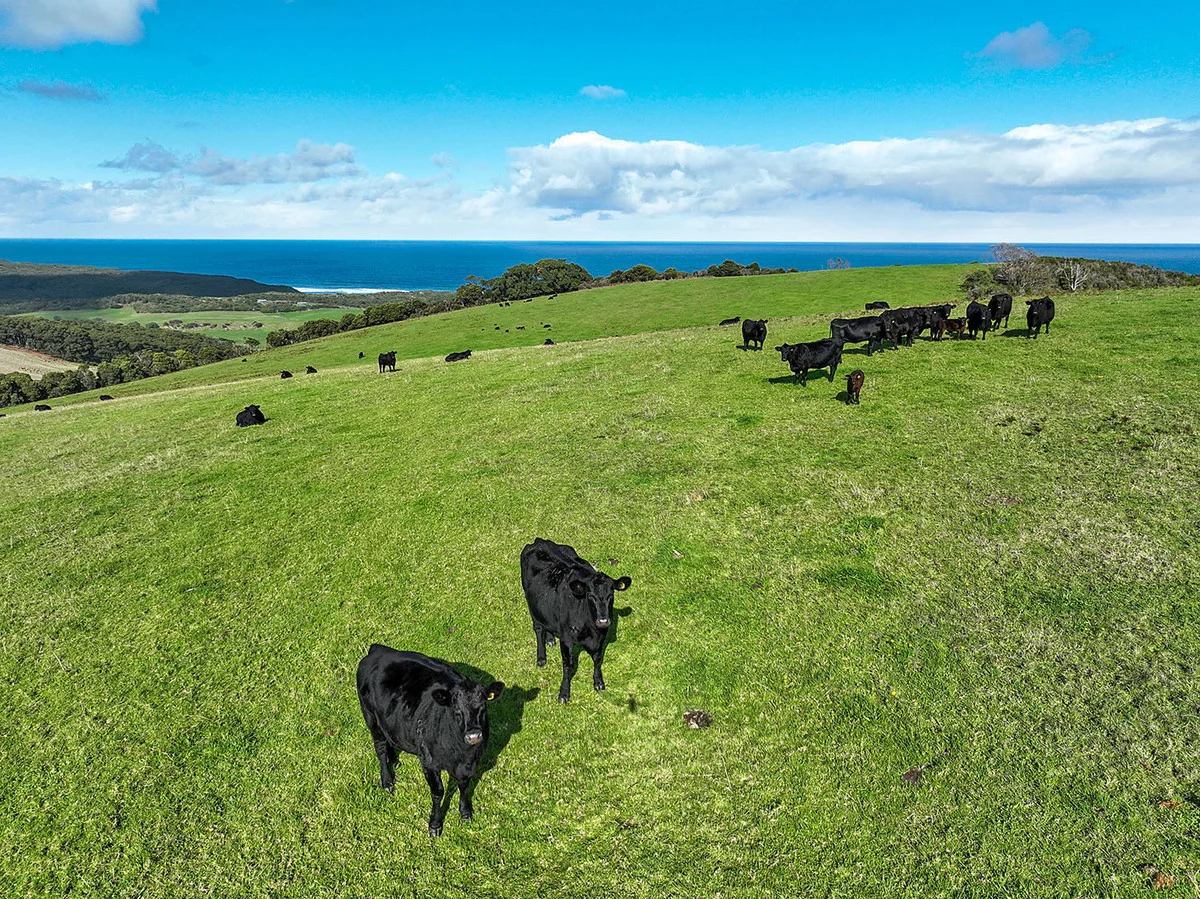 Additional image 8 of 105 Stafford Road, Johanna VIC 3238