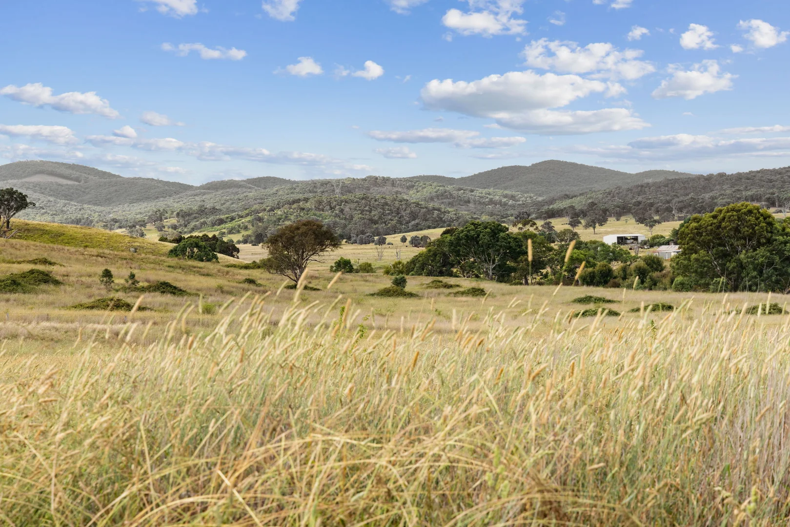 Additional image 50 of 639 Yass River Road, Yass NSW 2582