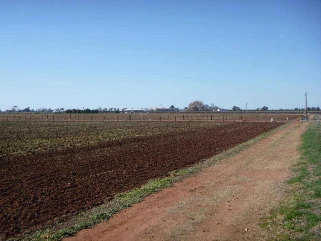 Additional image 2 of Part 619 Dinicola Road, Yoogali NSW 2680