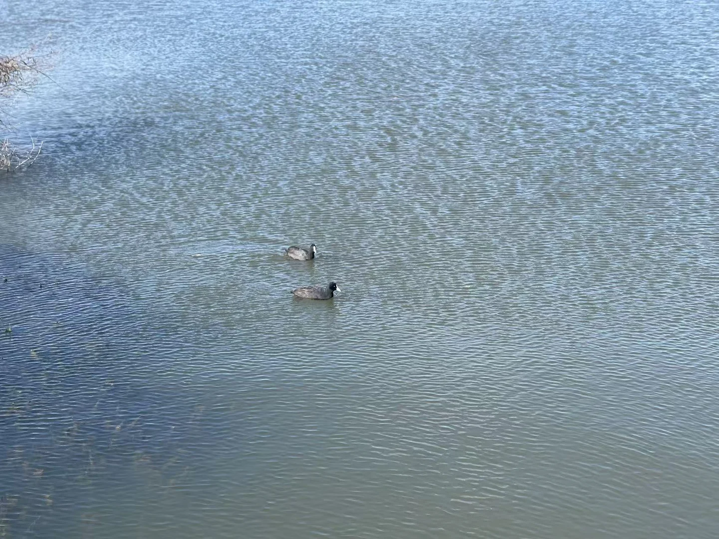 Additional image 9 of Lot 47/215 Macarthur Rd, Spring Farm NSW 2570