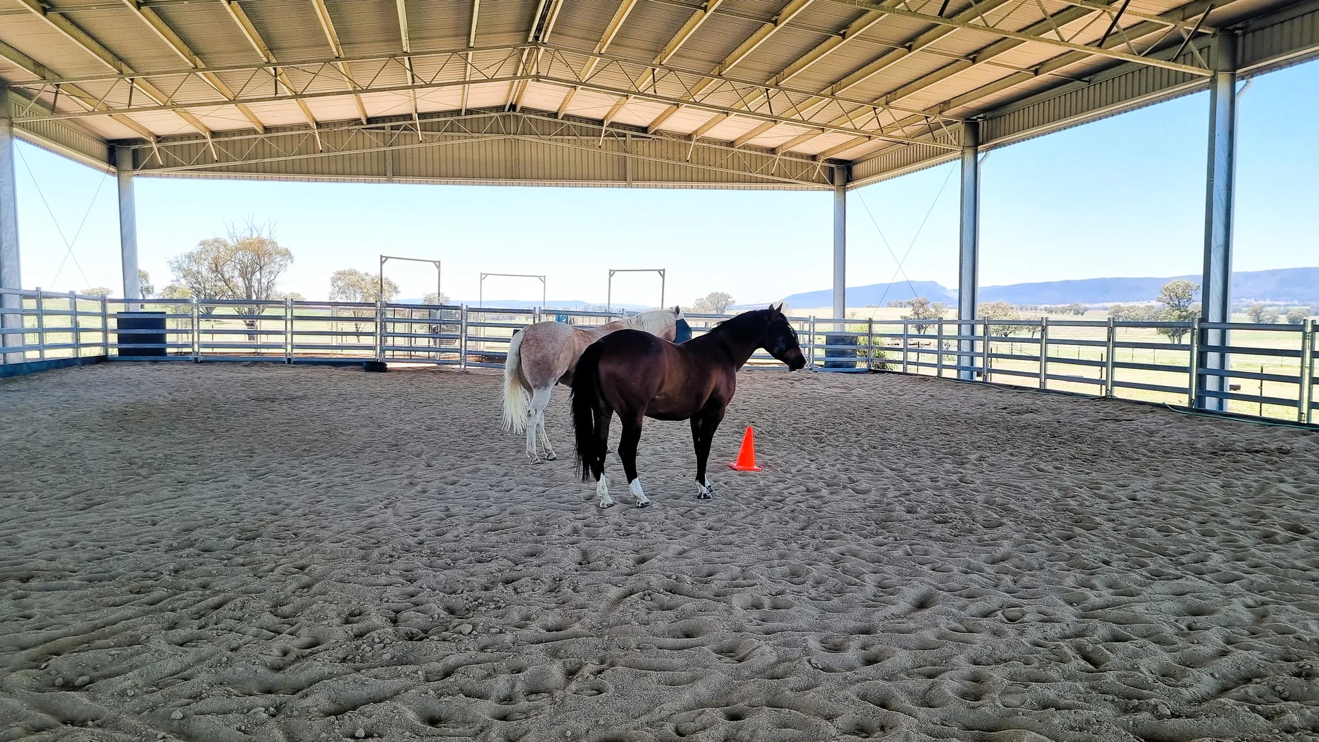 Additional image 7 of 3374 Murringo Road, Young NSW 2594