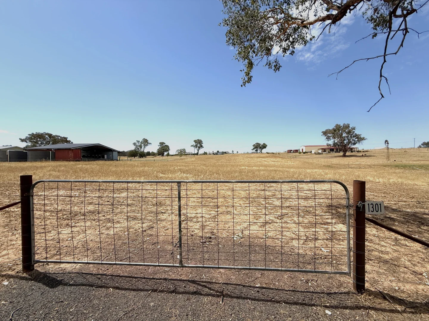 Additional image 2 of 1301 Belowra Road, Murringo Via, Young NSW 2594