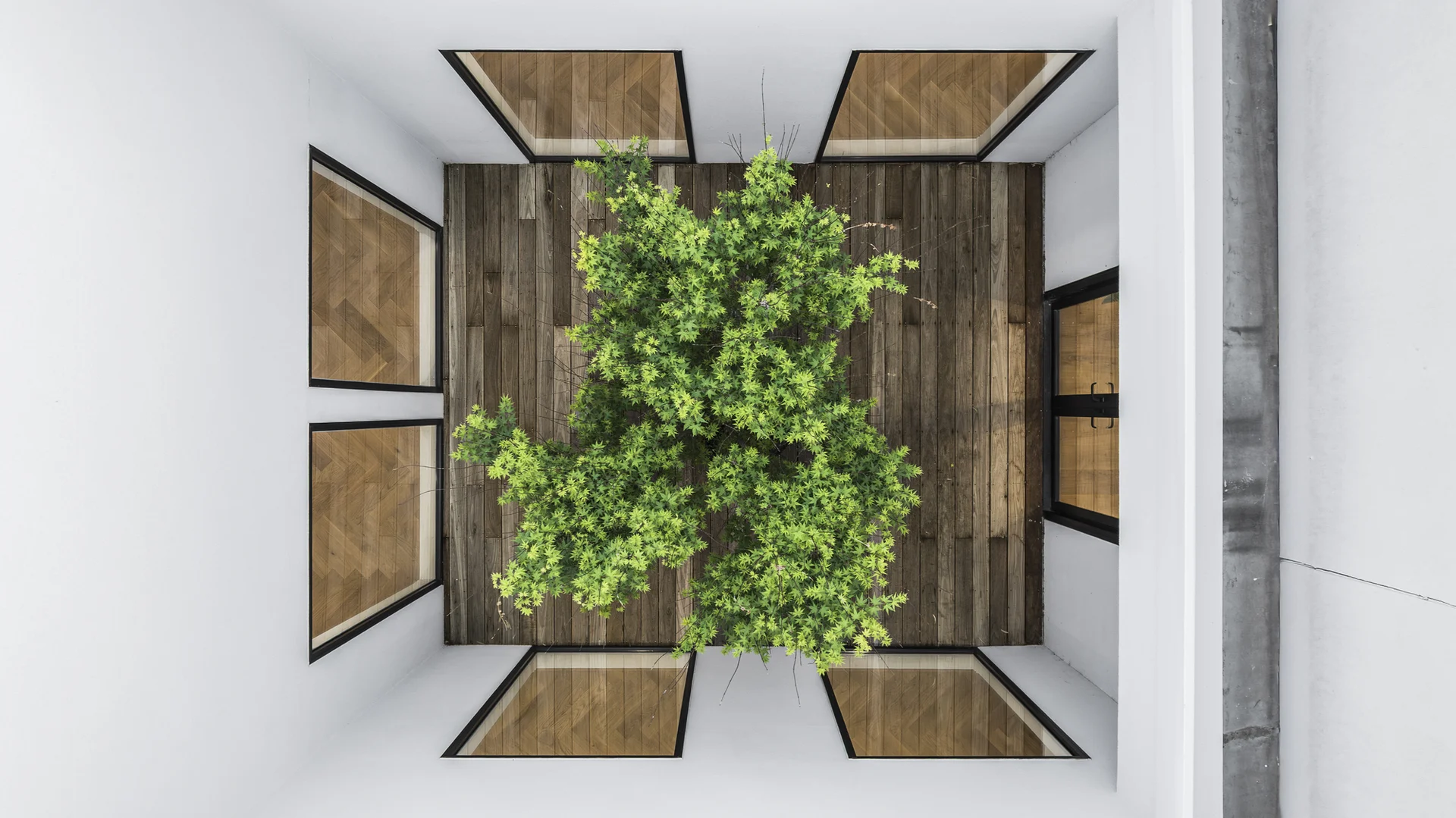 Additional image 12 of 451 Glenferrie Road, Kooyong VIC 3144