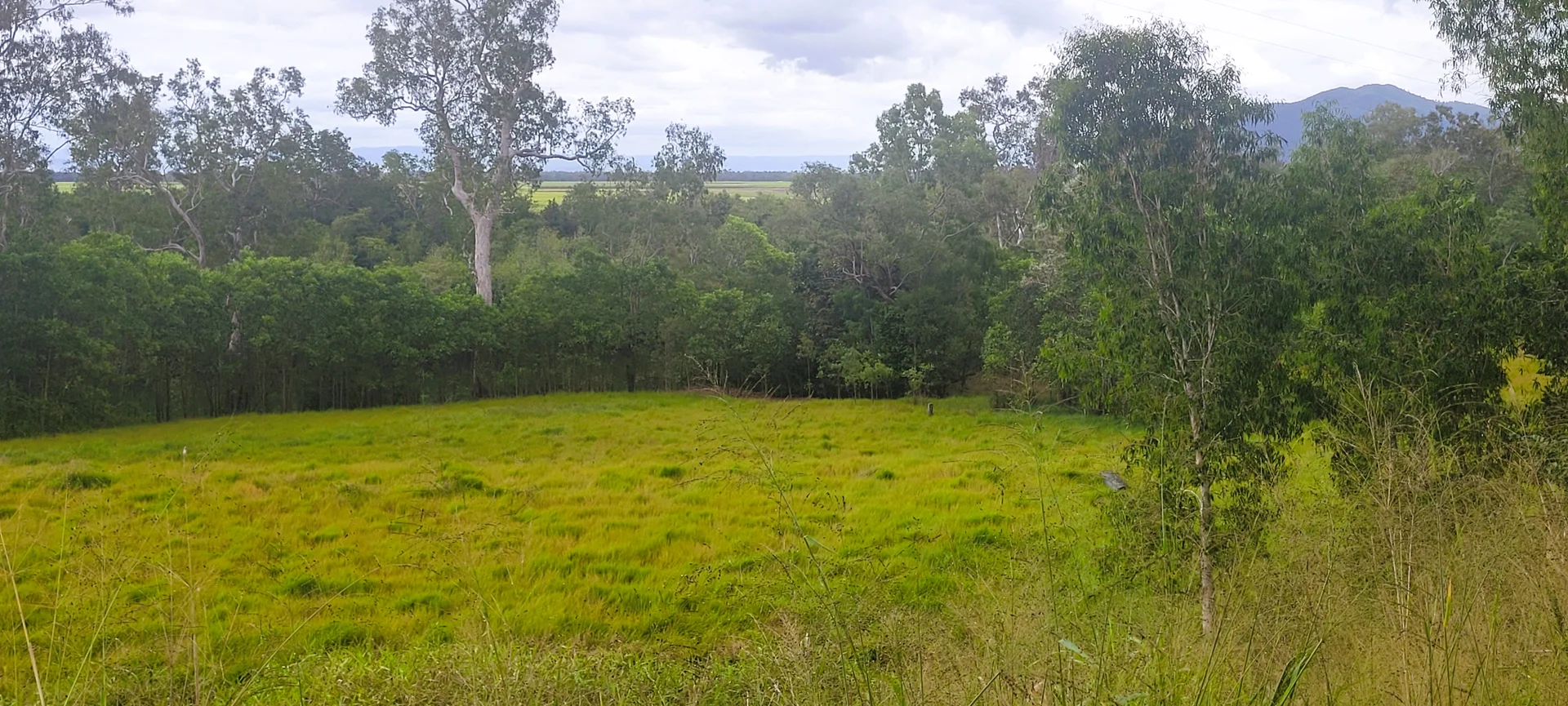 Additional image 18 of Lot 125 Mount Cudmore Road, Bemerside QLD 4850