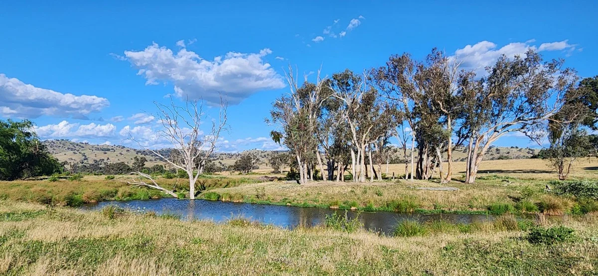 Additional image 13 of 3641 Frogmore Road, Hovells Creek NSW 2794