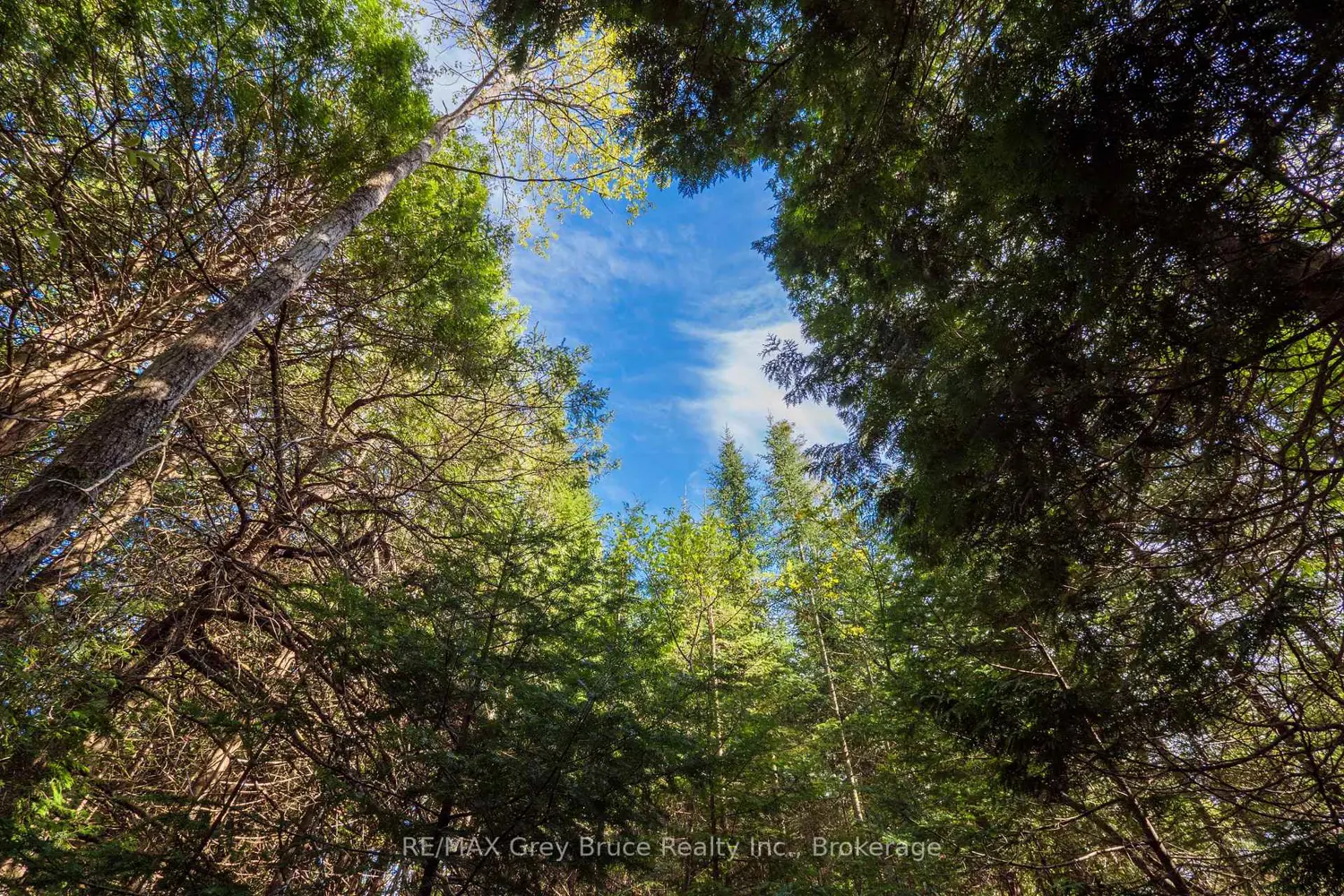 Additional image 19 of Unit 6 Stokes Bay Road