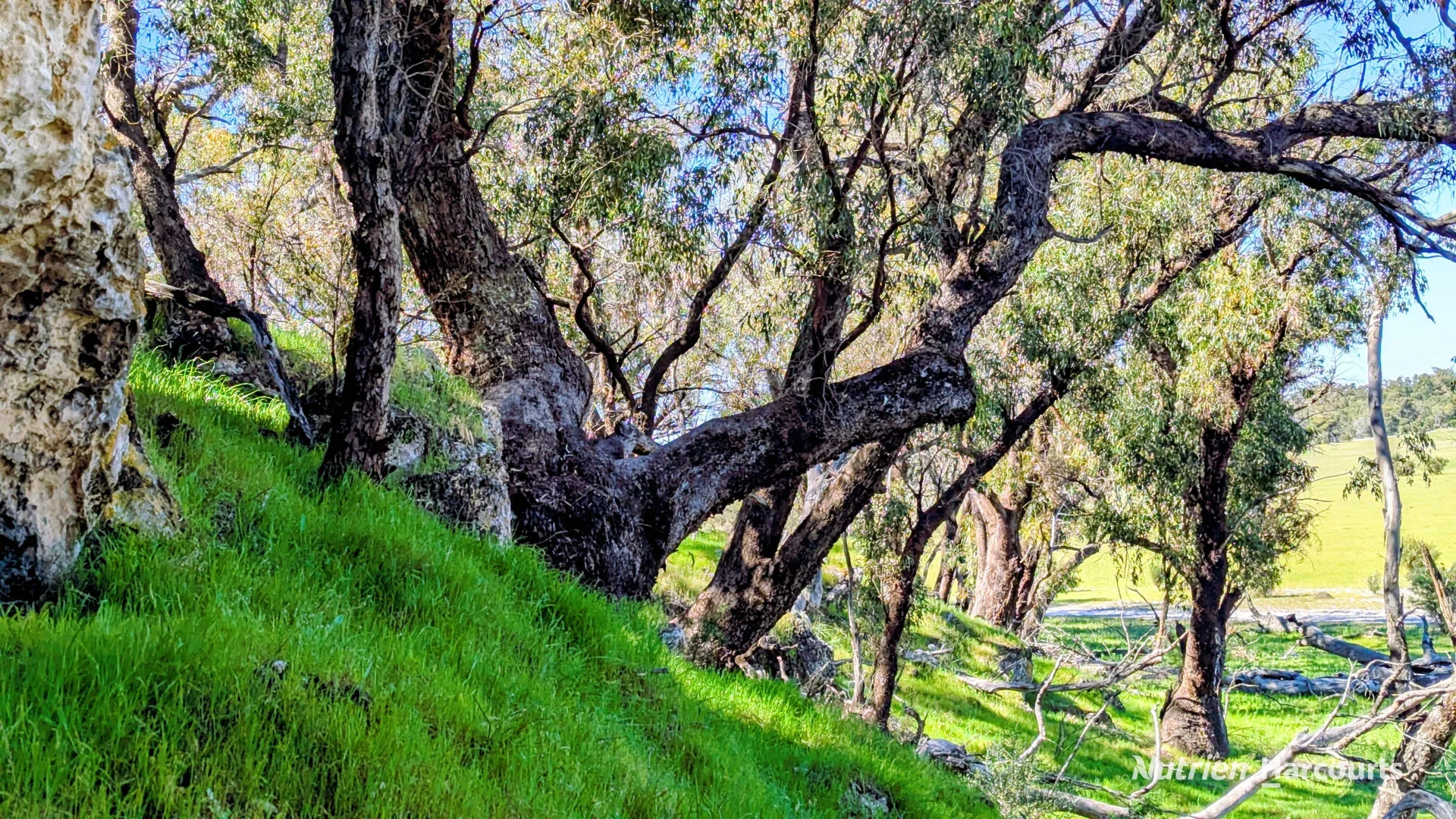 Additional image 15 of Lot 51 Millbank Road, Cowalla WA 6503