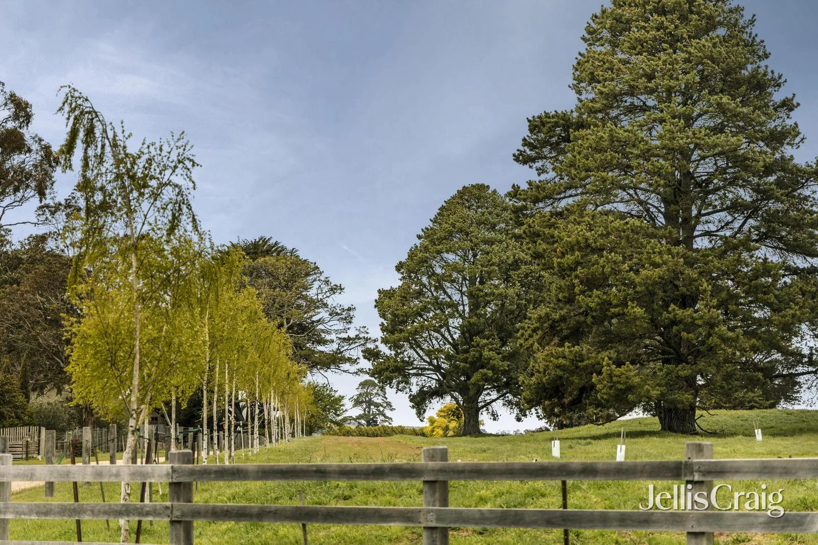 Additional image 4 of 84 Railway Road, Newlyn VIC 3364