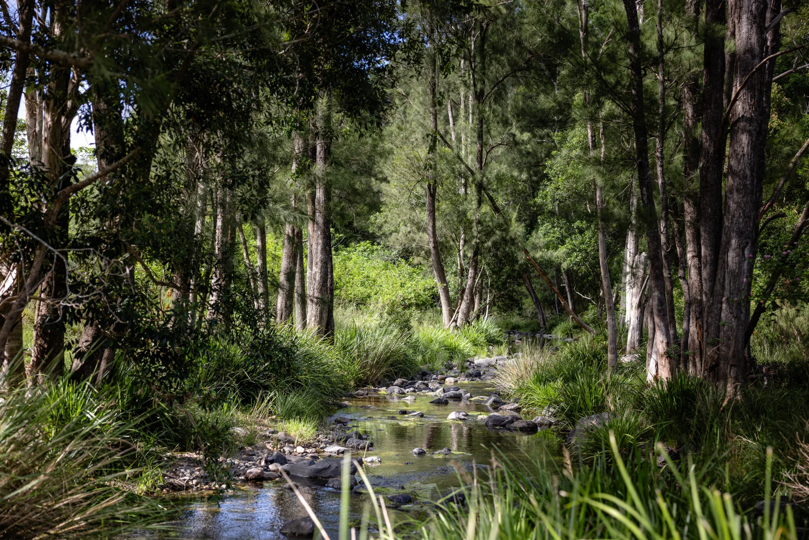 Additional image 4 of 382 Norwood Lane, Mount George NSW 2424