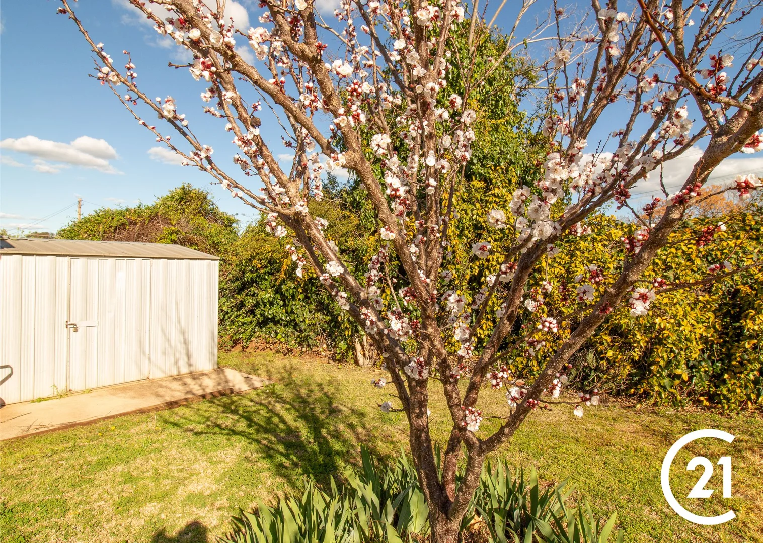 Additional image 21 of 100 Flint Street, Forbes NSW 2871