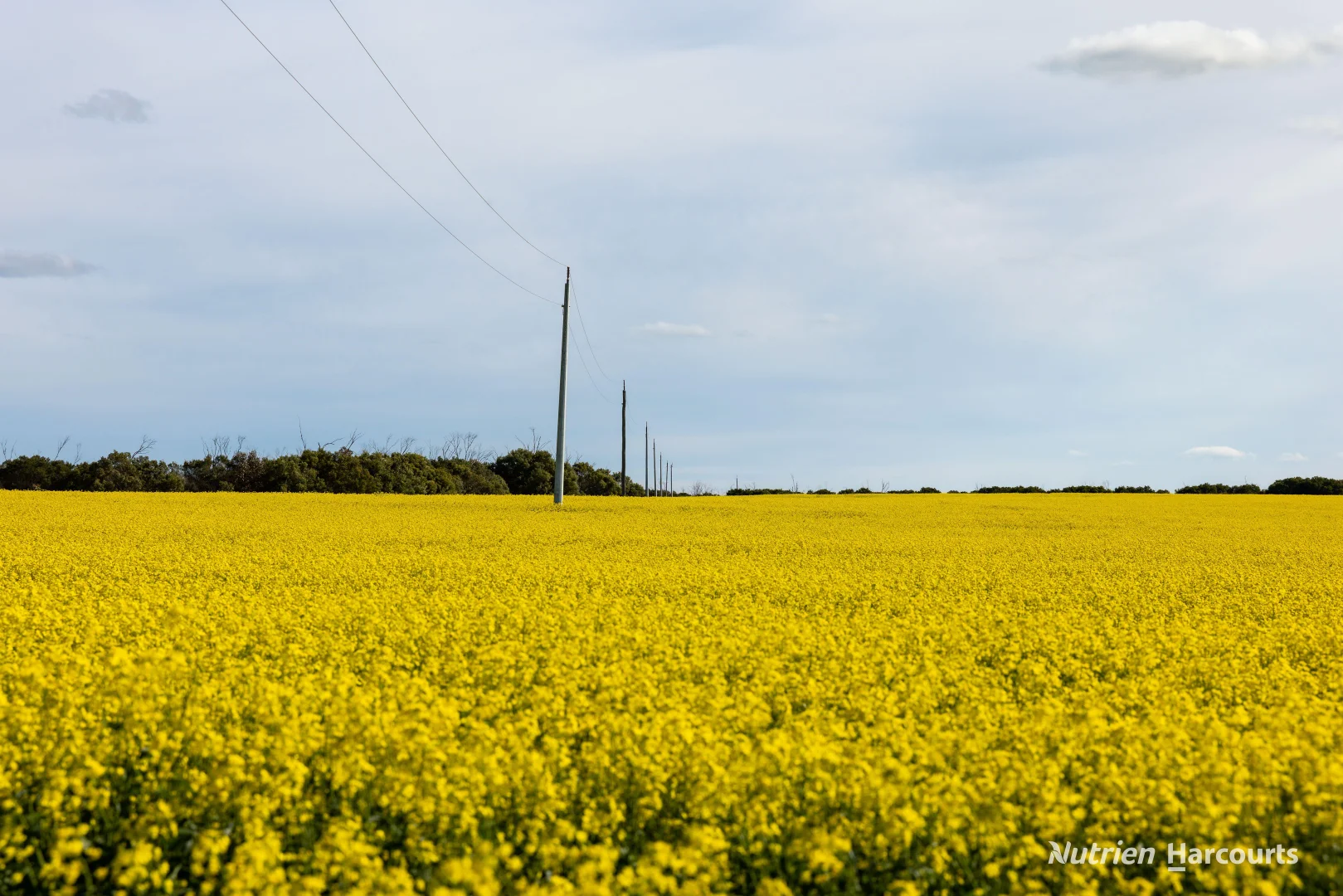 Additional image 12 of . Kendall Road, Scaddan WA 6447