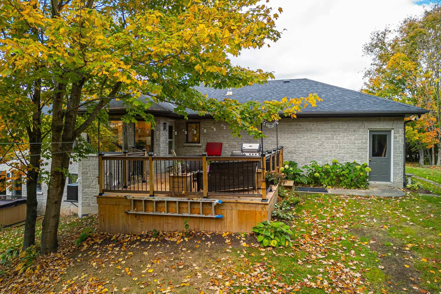 Additional image 17 of 103478 Grey 18 Road