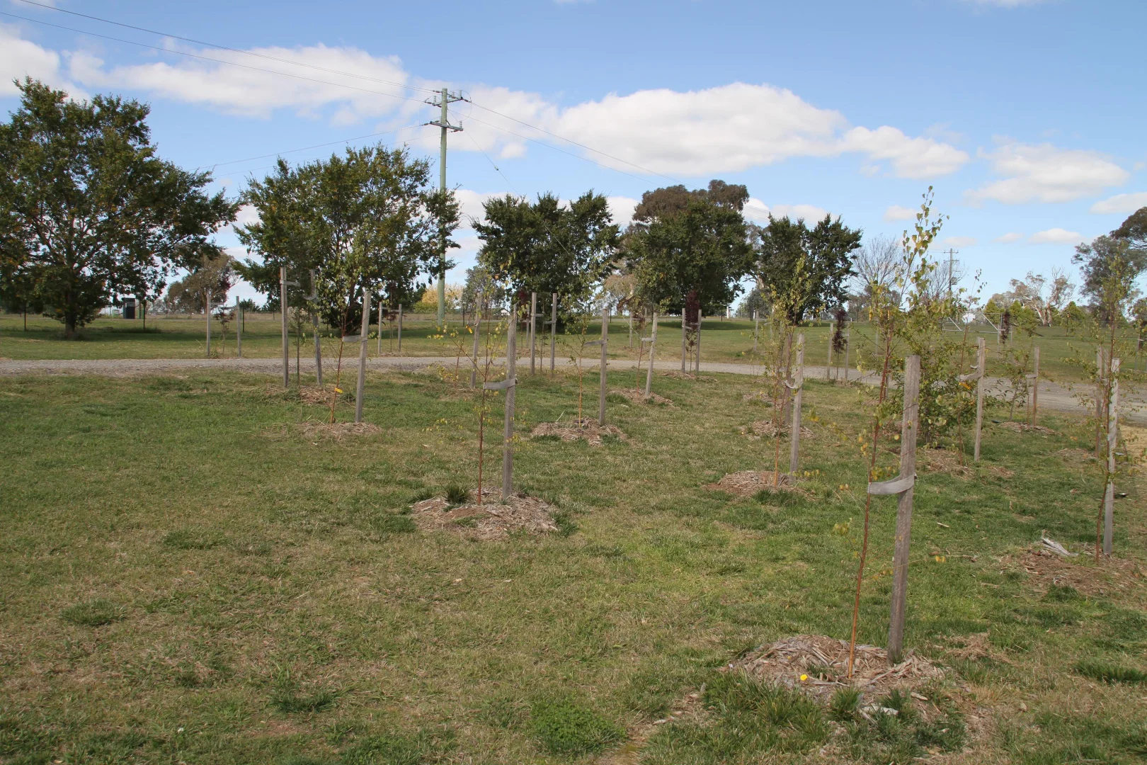 Additional image 37 of 5 Walgrove Road, Manton NSW 2582