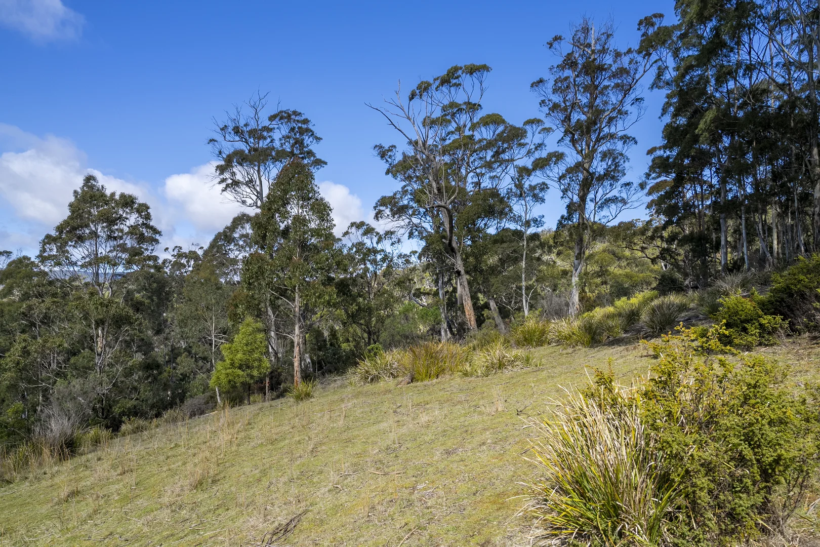 Additional image 11 of 129 Littles Road, Premaydena TAS 7185