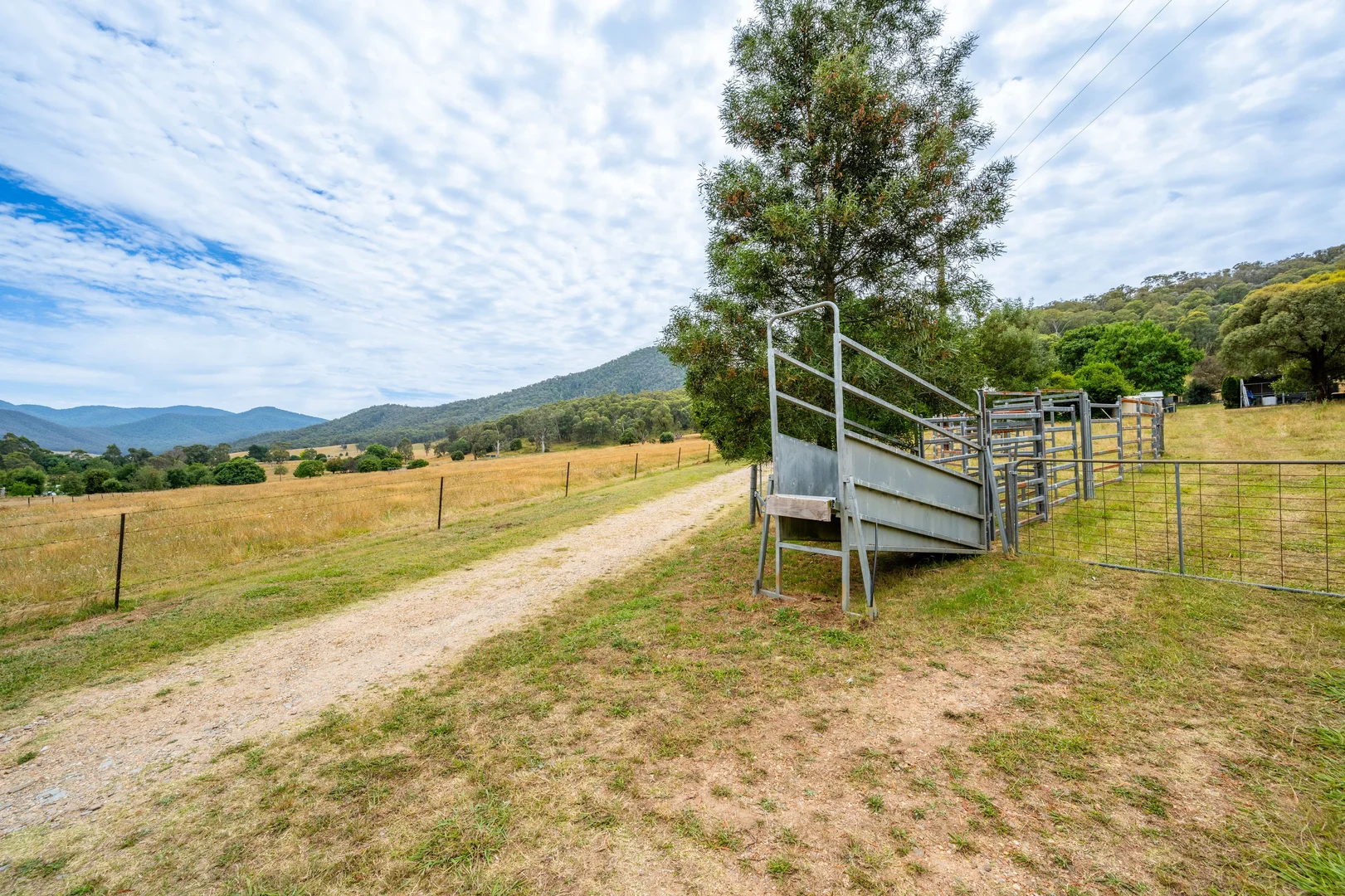 Additional image 48 of 585 Kancoona South Rd, Kancoona VIC 3691