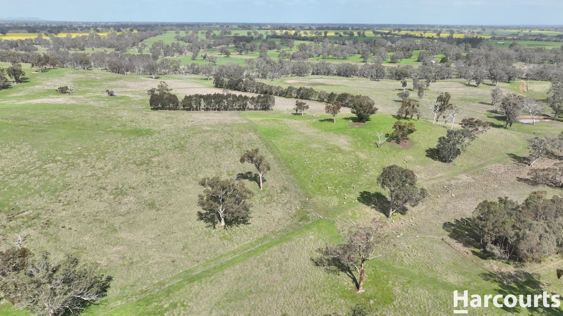 Additional image 30 of 1790 Harrow-Balmoral Road, Balmoral VIC 3407