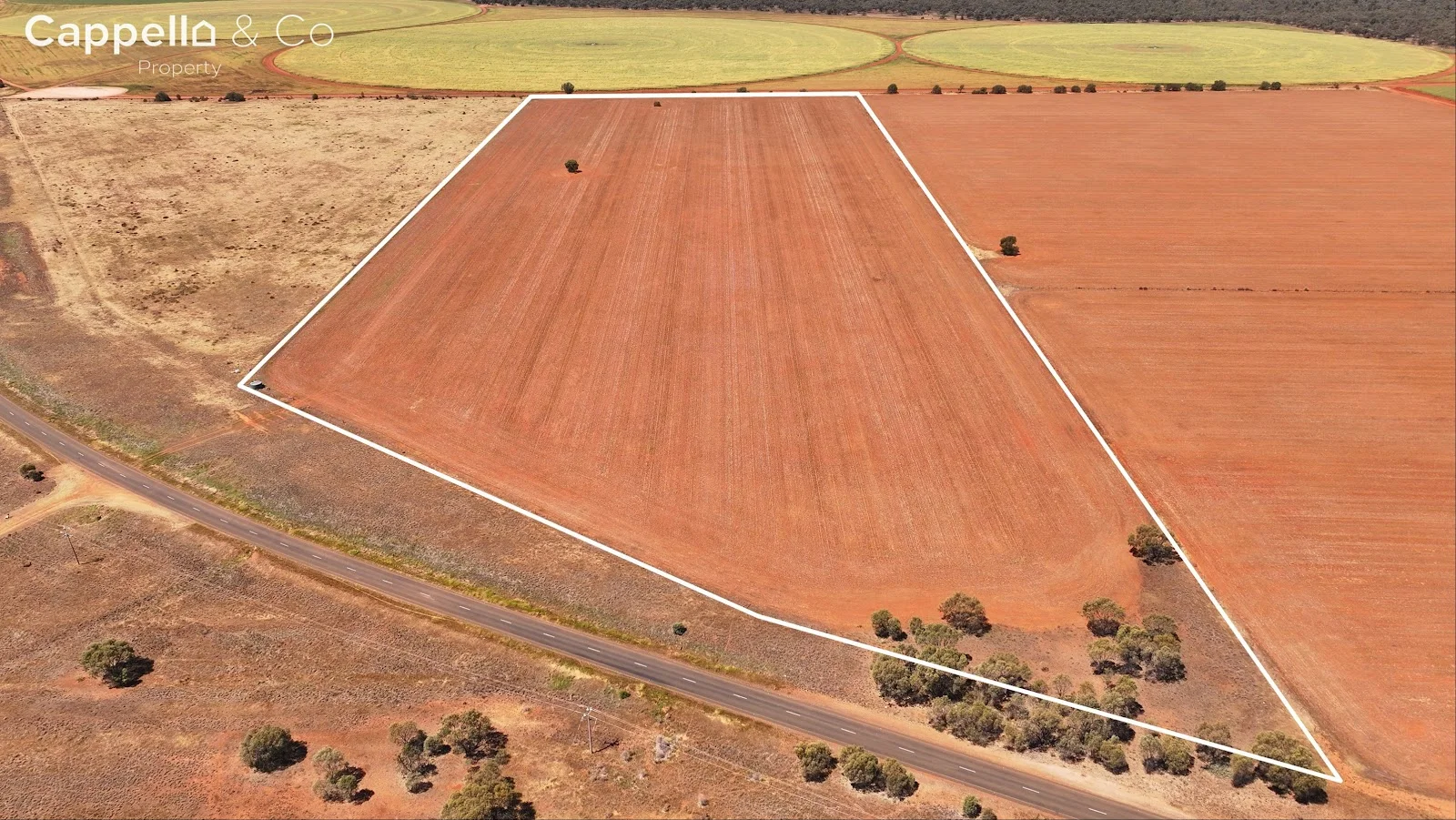 Additional image 41 of 901 Lachlan River Road, Hillston NSW 2675