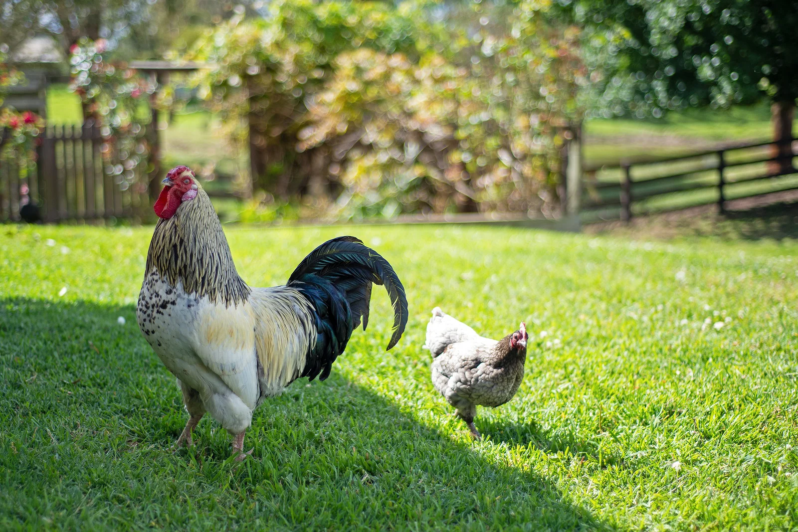 Additional image 23 of 31 Airley Road, Stratford VIC 3862