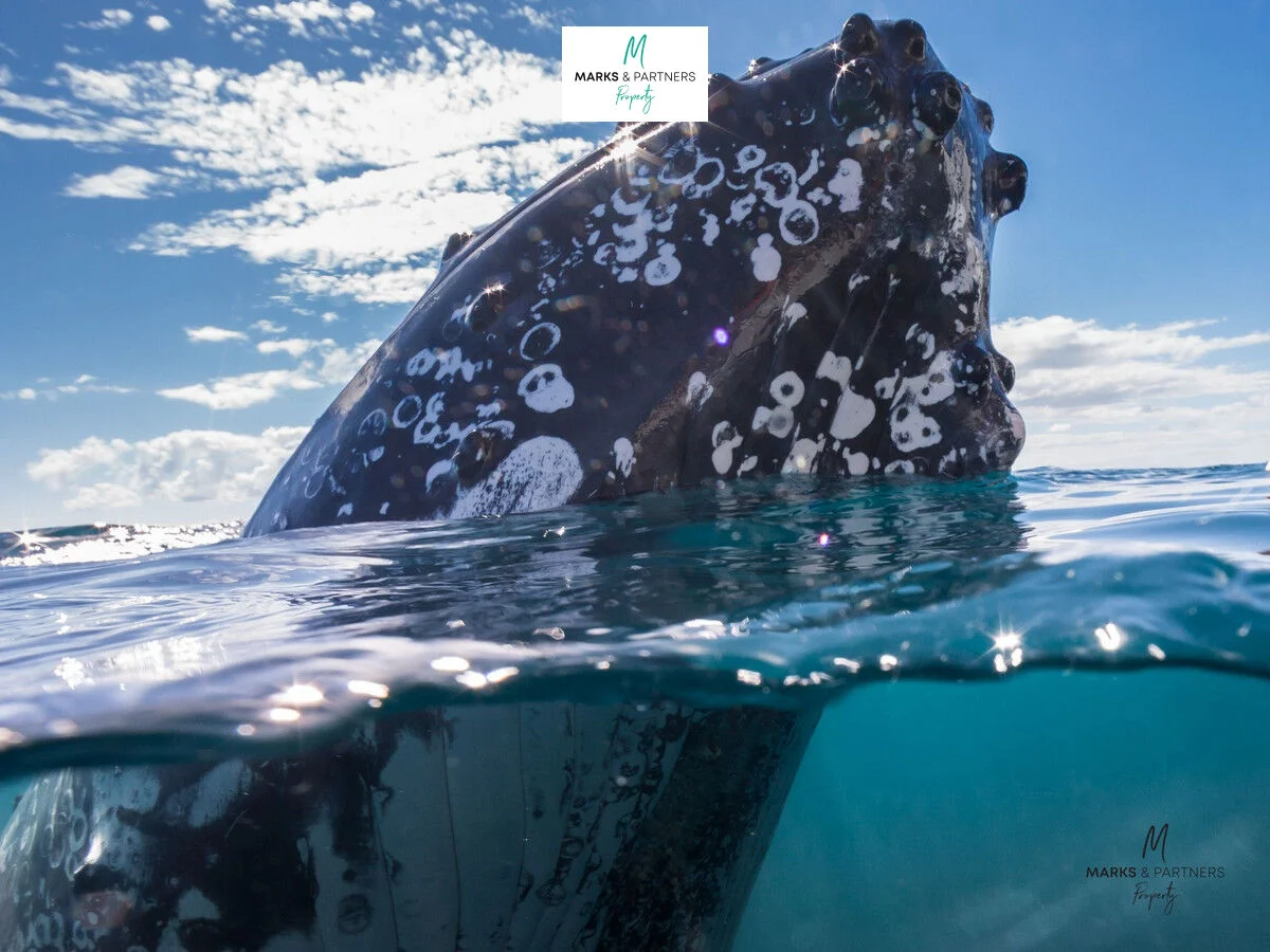 Additional image 10 of 196 Mahalo Road, Booral QLD 4655