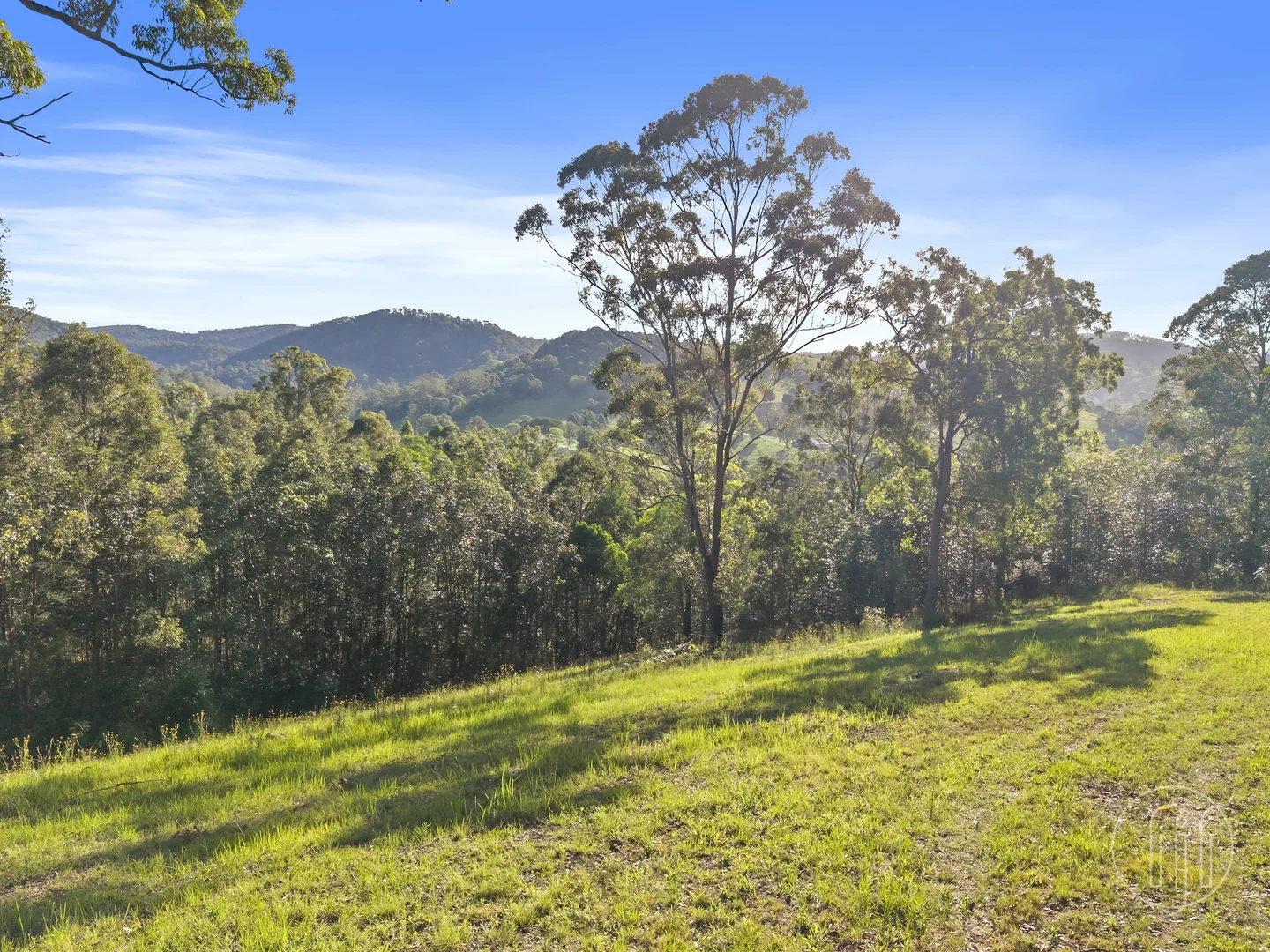 Additional image 19 of 299 Kidaman Creek Road, Kidaman Creek QLD 4574