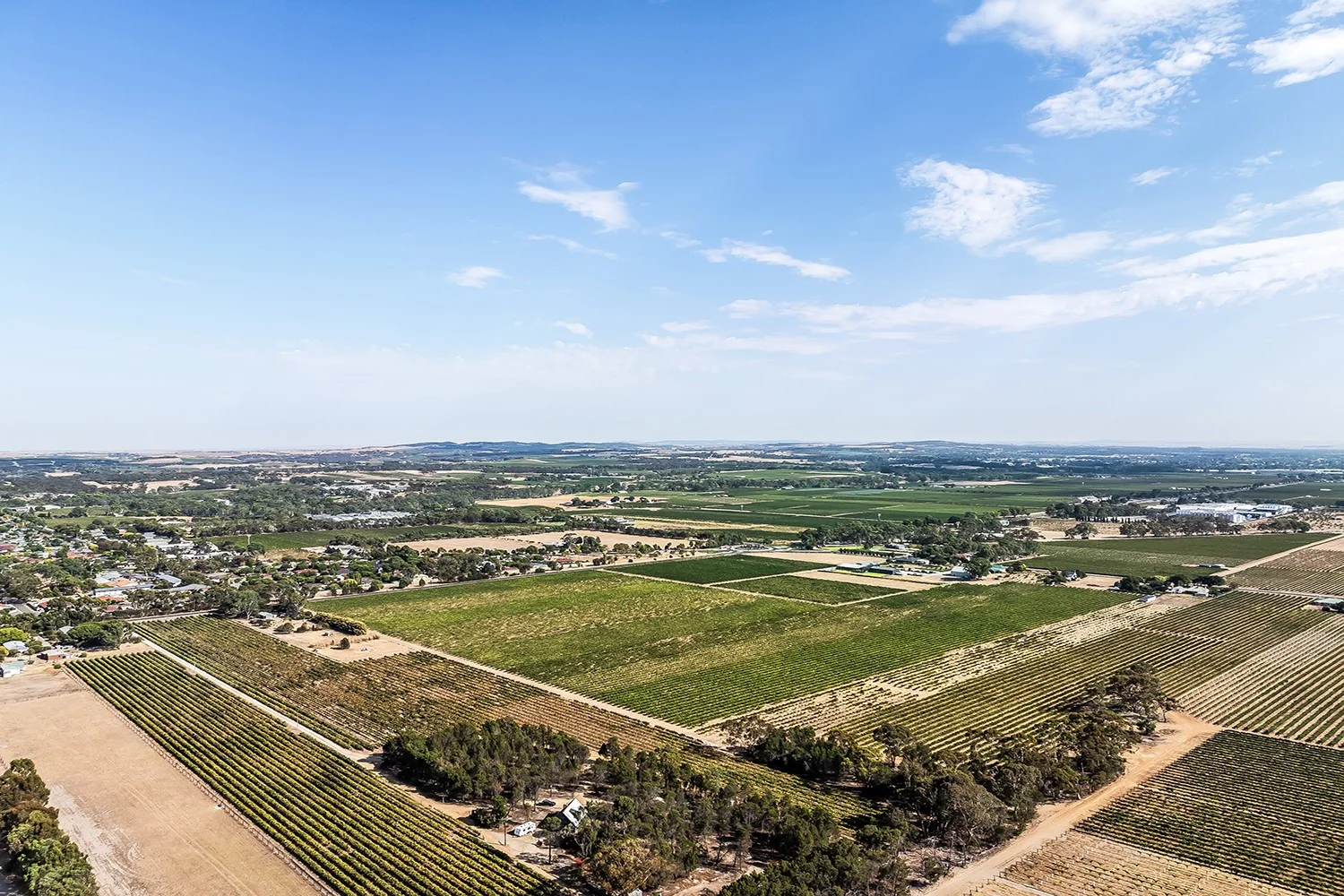 Additional image 23 of 14 Vine Vale Road, Tanunda SA 5352