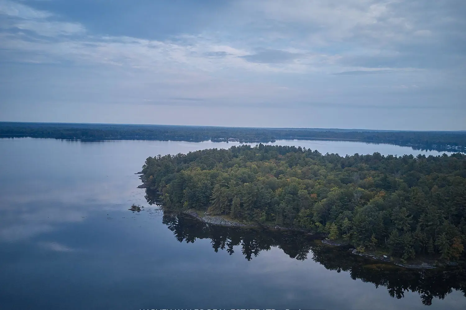 Additional image 3 of 1168 Apter Lane