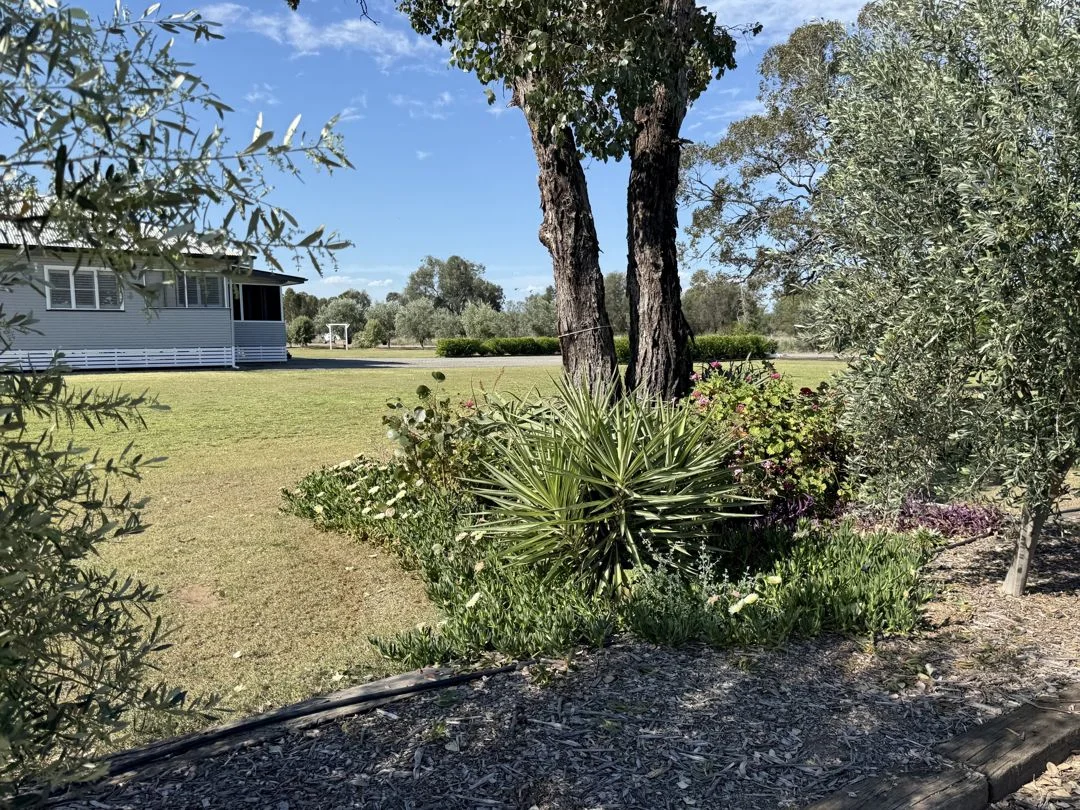 Additional image 13 of 155 River Road, Pallamallawa NSW 2399