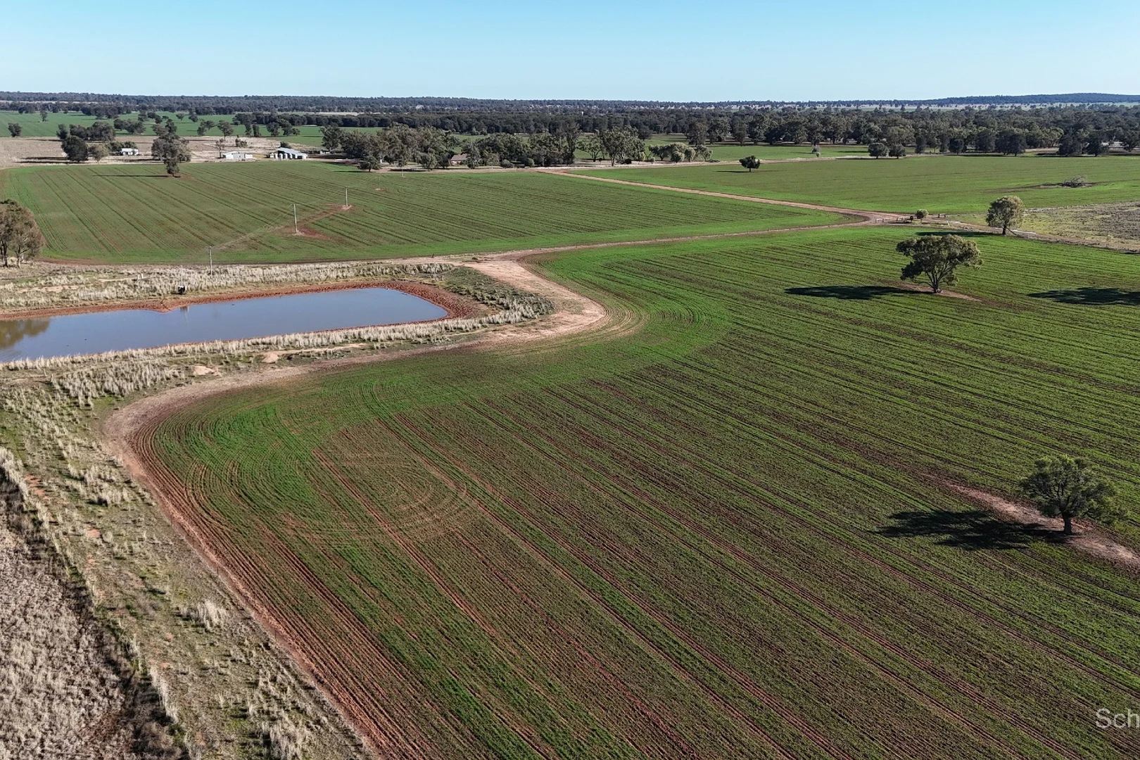 Additional image 2 of 195 Curra Lane, Peak Hill NSW 2869