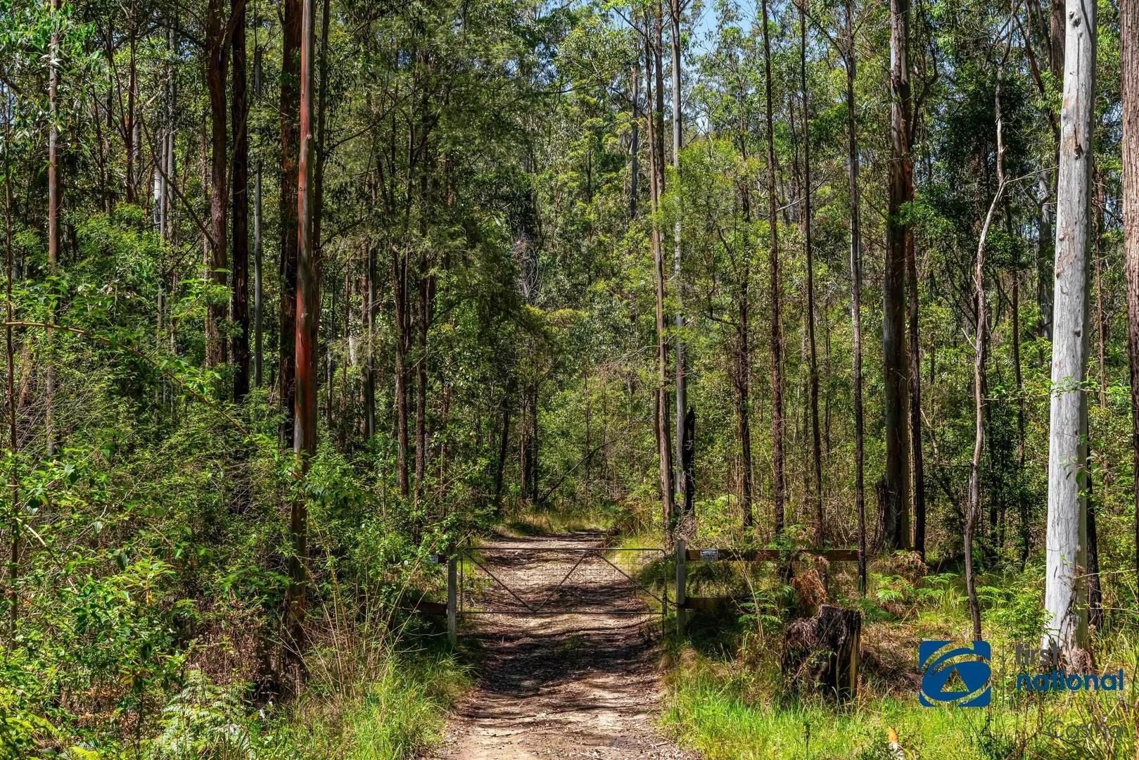 Additional image 14 of Lot 8 Long Gully Road, Drake NSW 2469