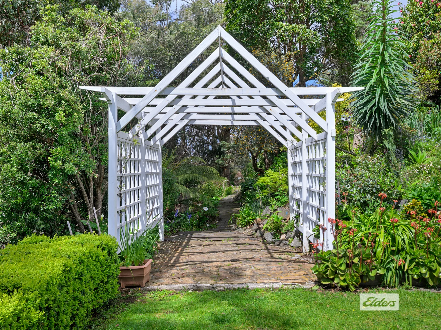 Additional image 17 of 61 Old Mount Hicks Road, Mount Hicks TAS 7325