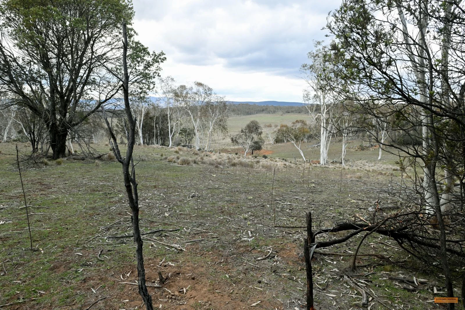 Additional image 14 of "Eagle Heights" 636 Caddigat Road, Dry Plain NSW 2630