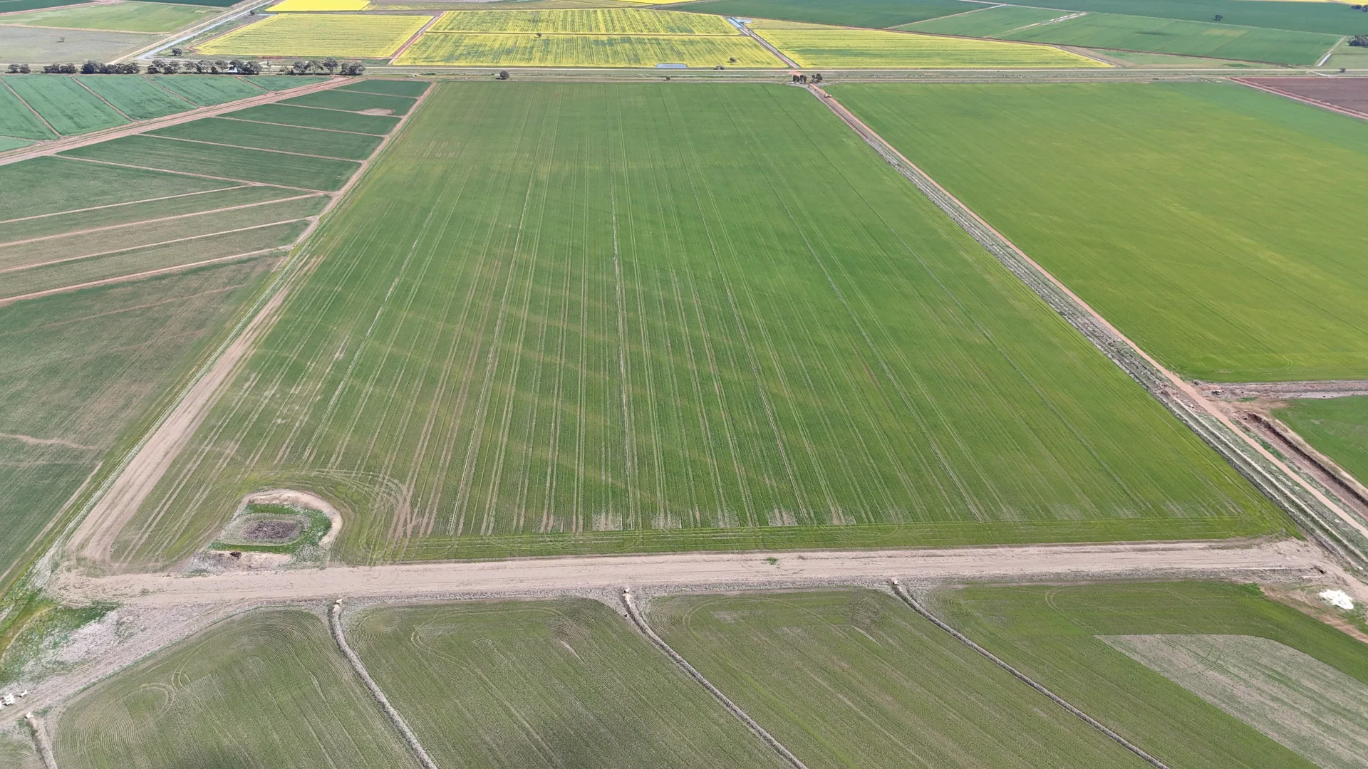 Additional image 6 of 69-70 Leonard Road, Coleambally NSW 2707