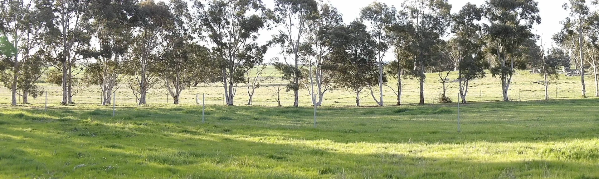 Additional image 8 of 1/56 Hercules Street, Murrumbateman NSW 2582