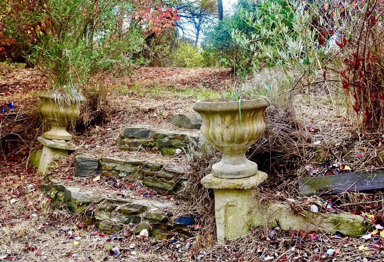 Additional image 19 of 1 Rosamel Street, Gundaroo NSW 2620