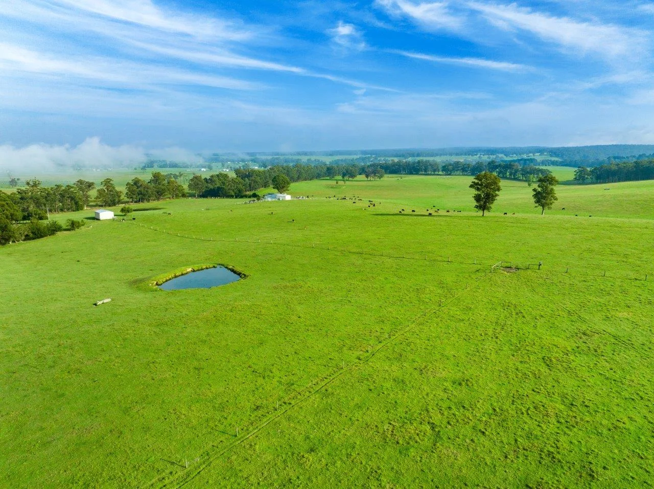 Additional image 19 of 393 & 428 Sandy Flat Road, Brodribb River VIC 3888