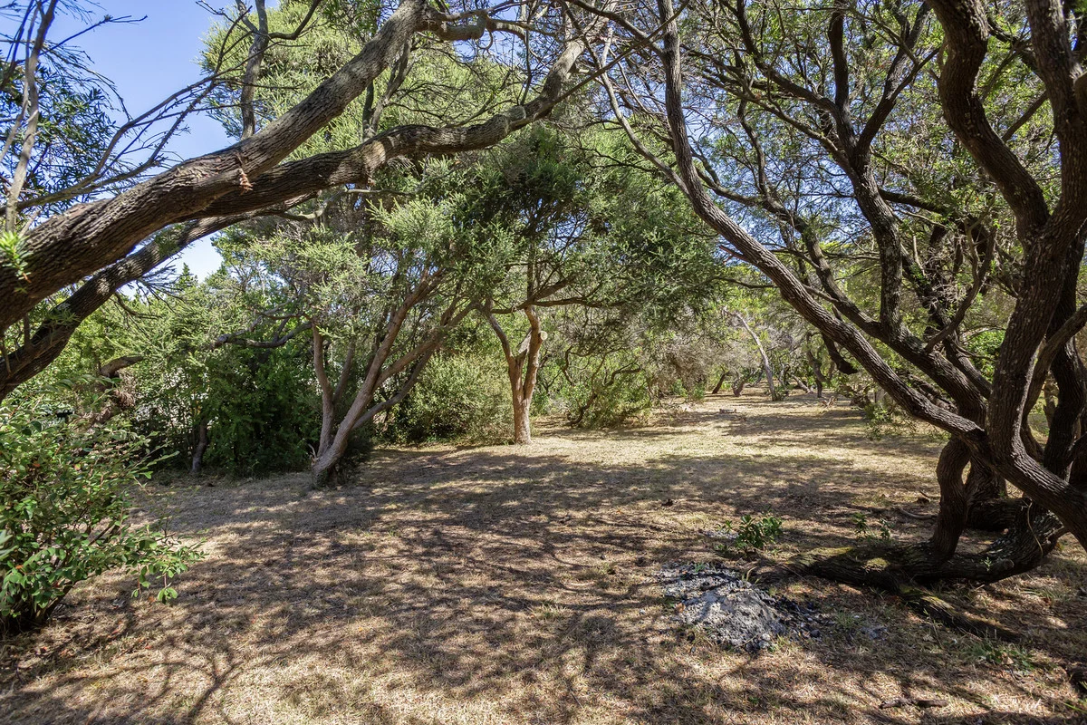 Additional image 4 of 52 Winterley Road, Point Lonsdale VIC 3225