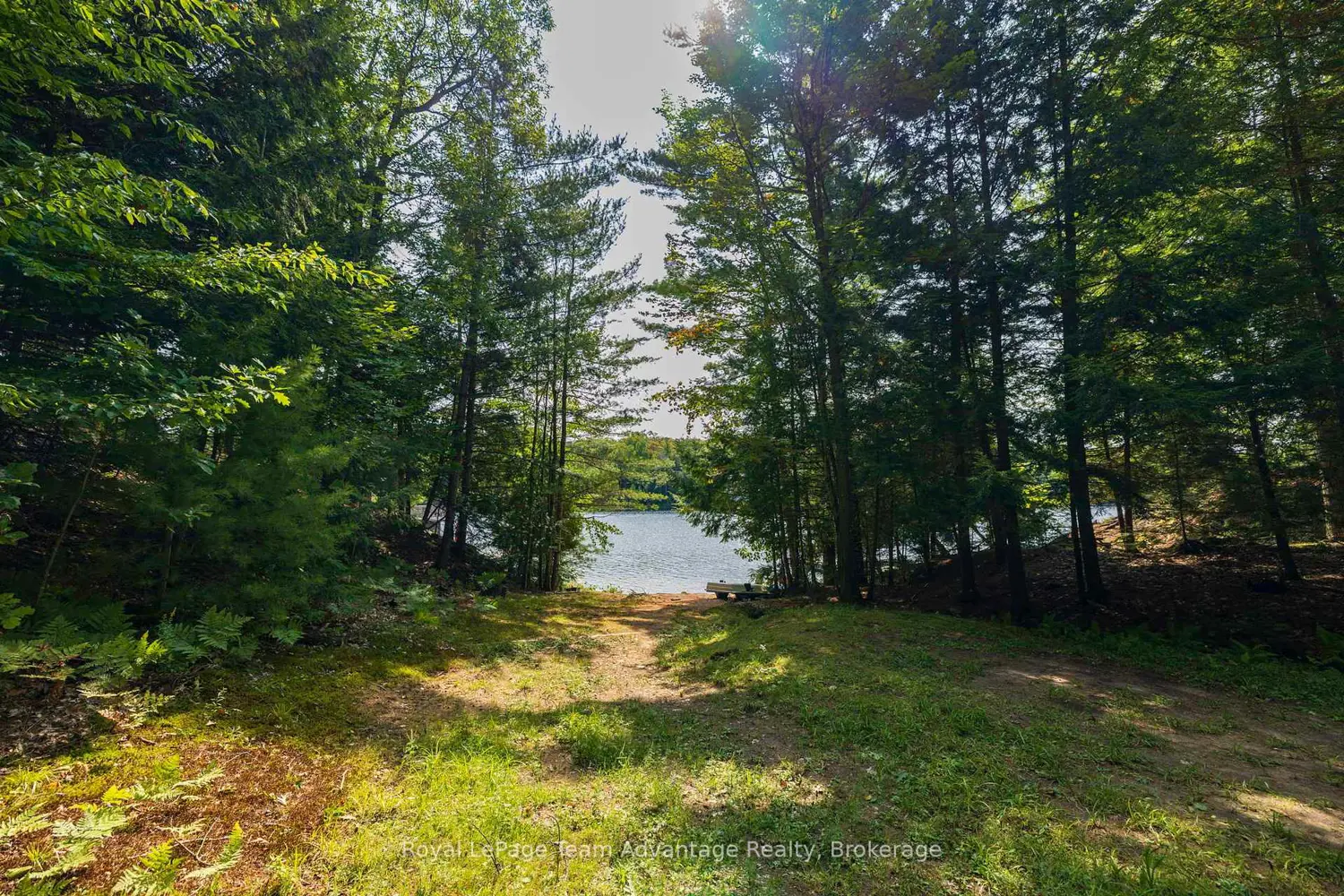 Additional image 14 of 11 Veronica Gene Lane