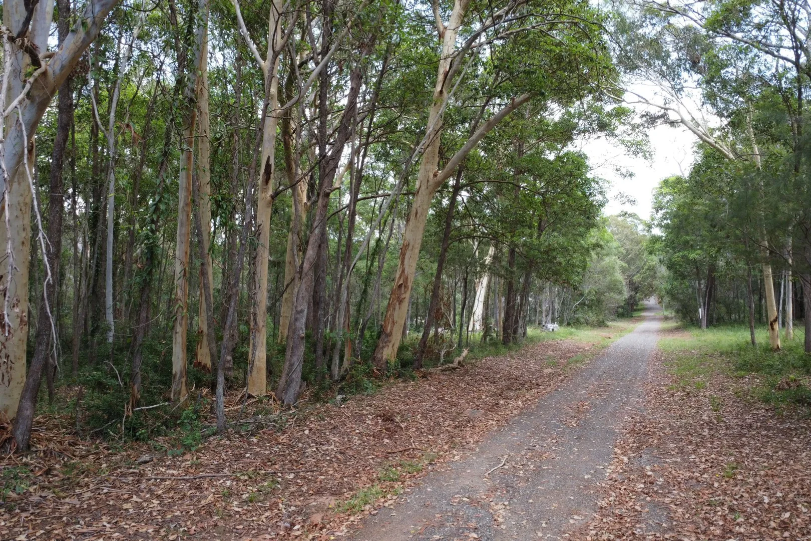 Additional image 8 of 64 Burke Avenue, Russell Island QLD 4184