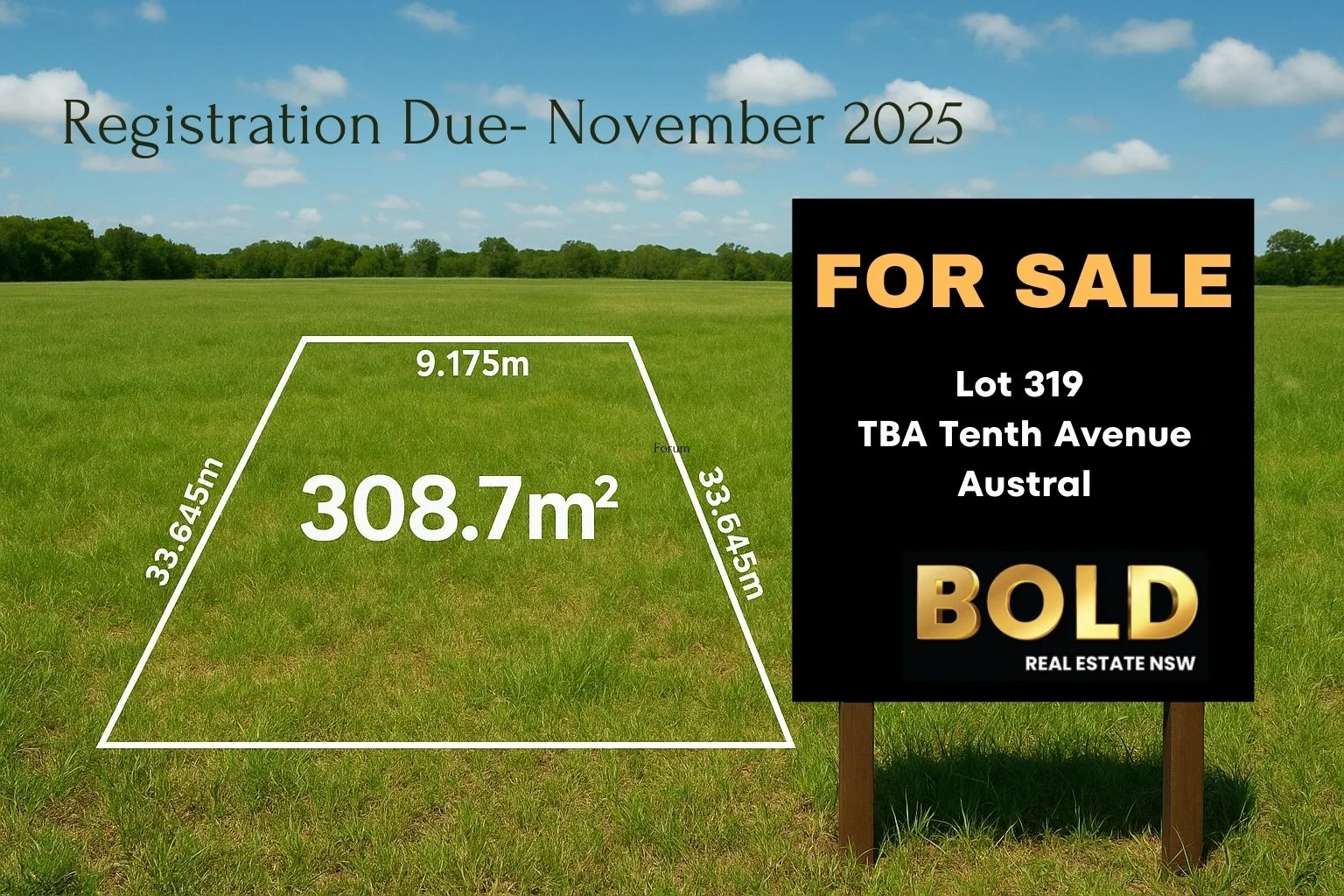 319 TBA Tenth Avenue, Austral NSW 2179