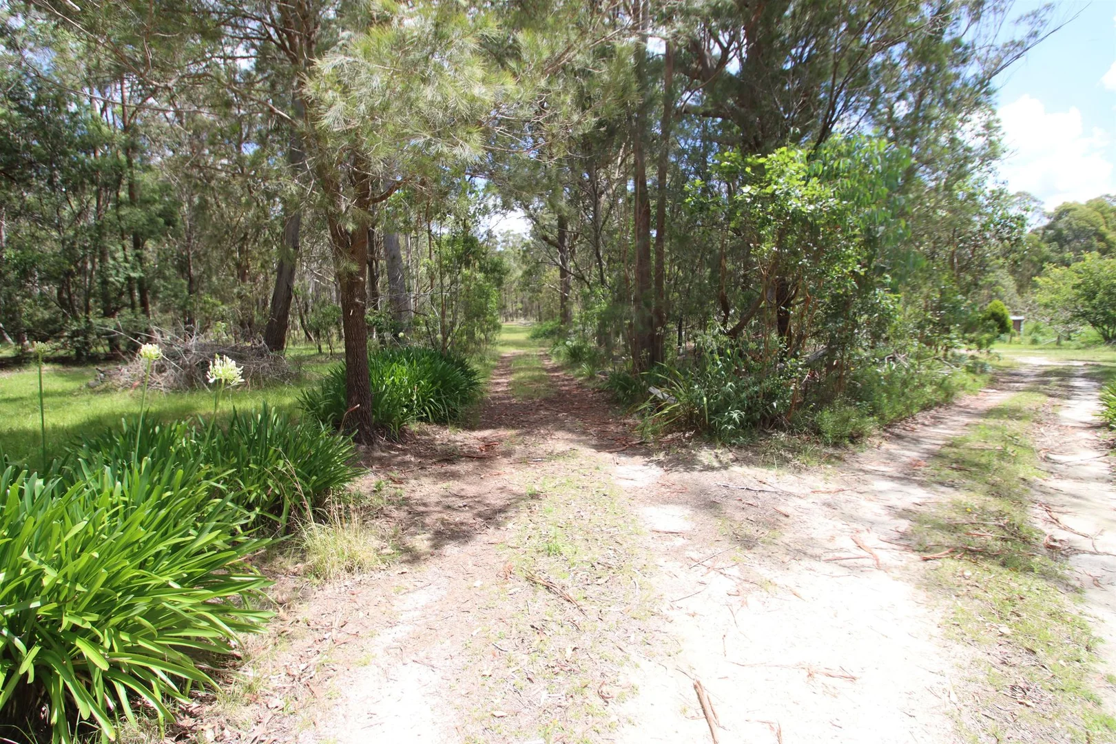 Additional image 23 of 2994 Mount Lindesay Road, Tenterfield NSW 2372