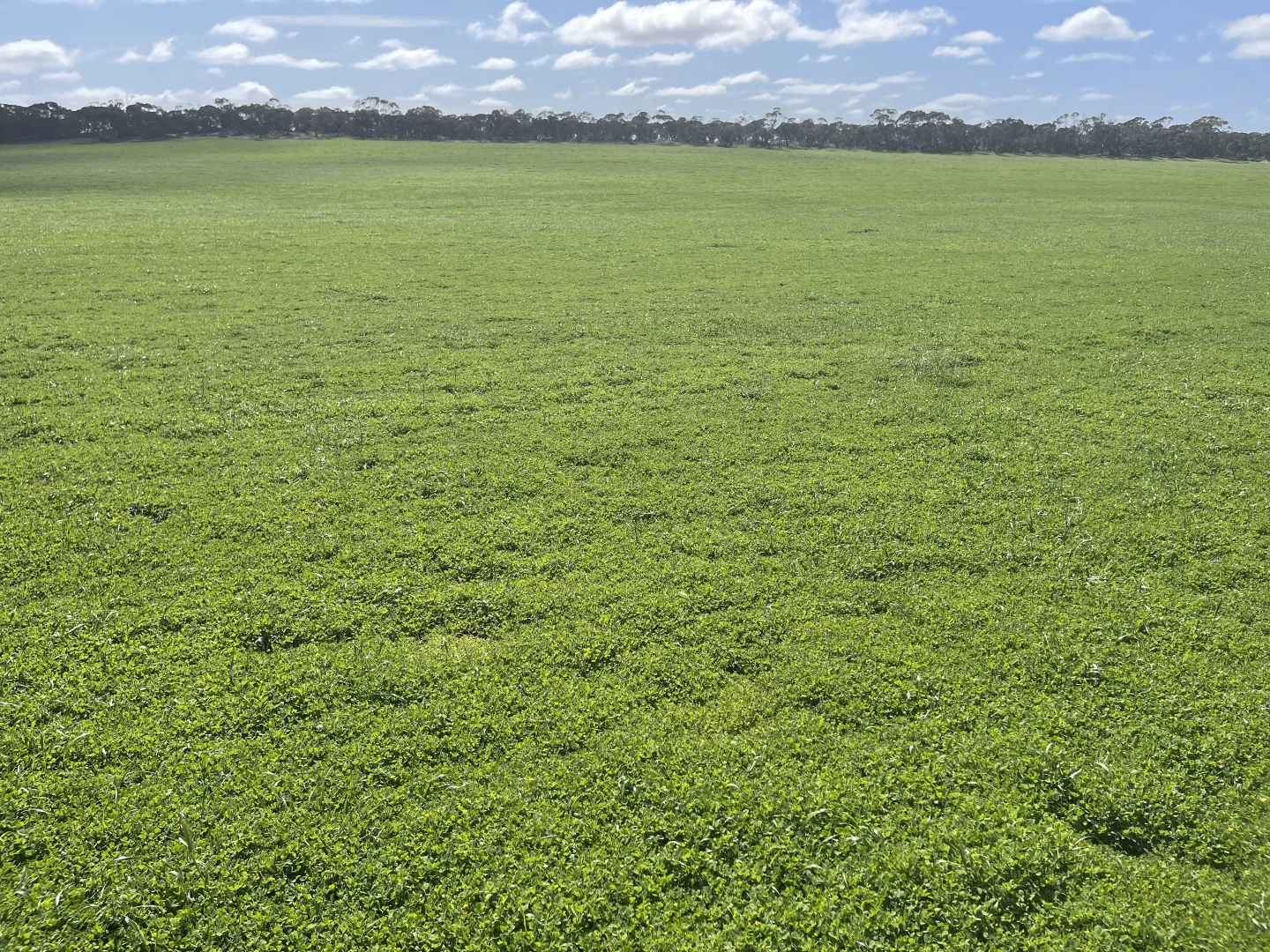 Additional image 7 of Lot 2 Palabie Road, Wudinna SA 5652