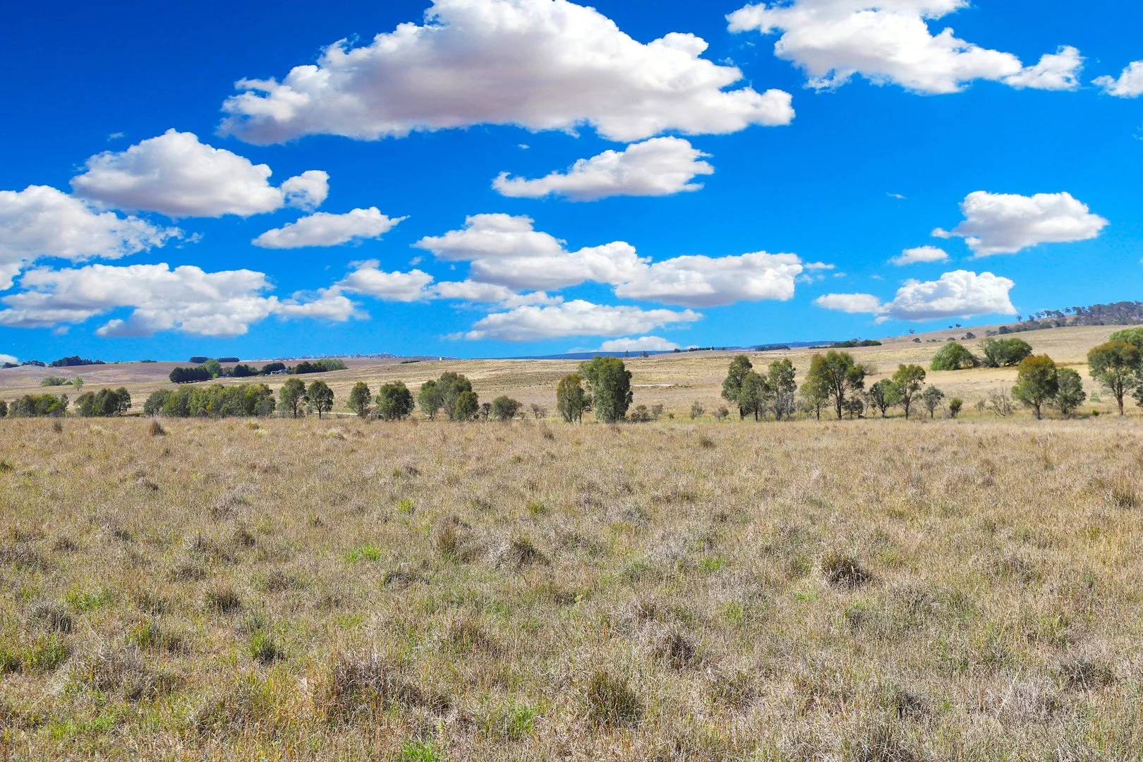 Additional image 21 of 77 Aerodrome Road, Bombala NSW 2632