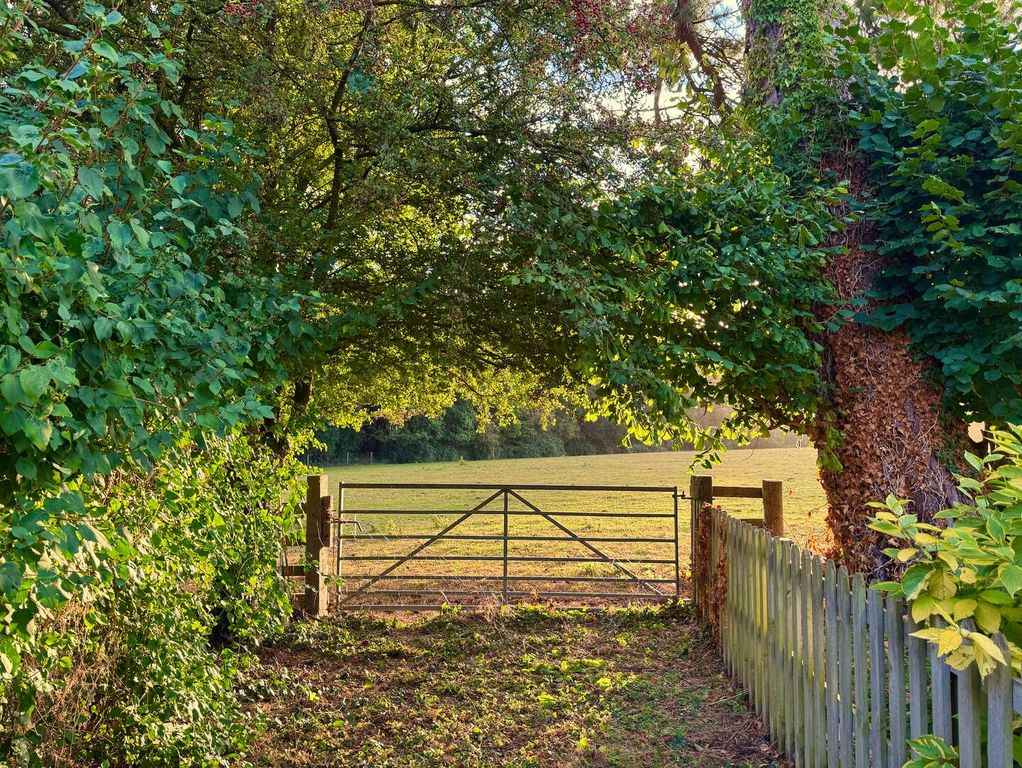 Additional image 16 of 3 bed farmhouse to rentHigh Street, Yeovil BA22